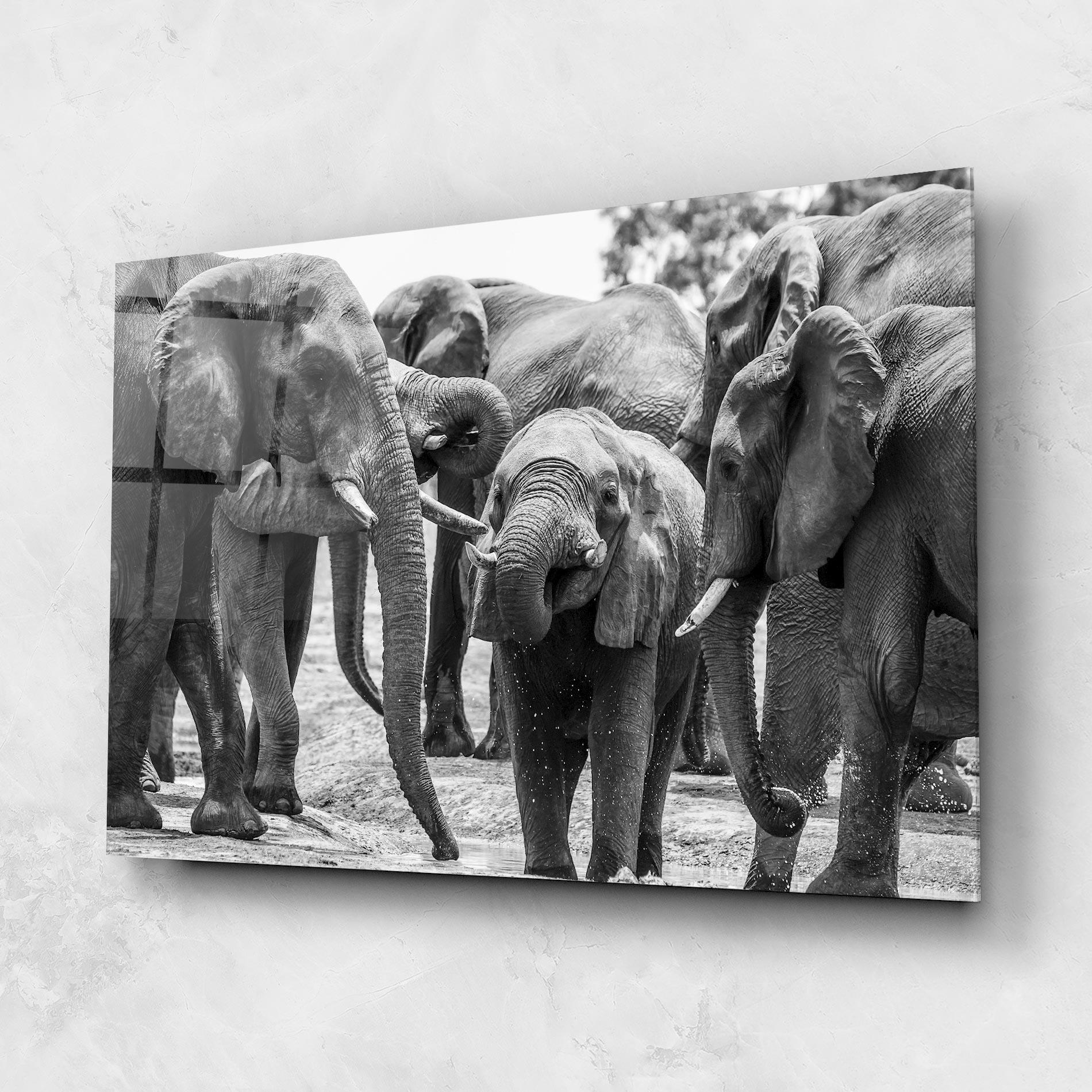 Glasbild Elephant Playing mockup 1