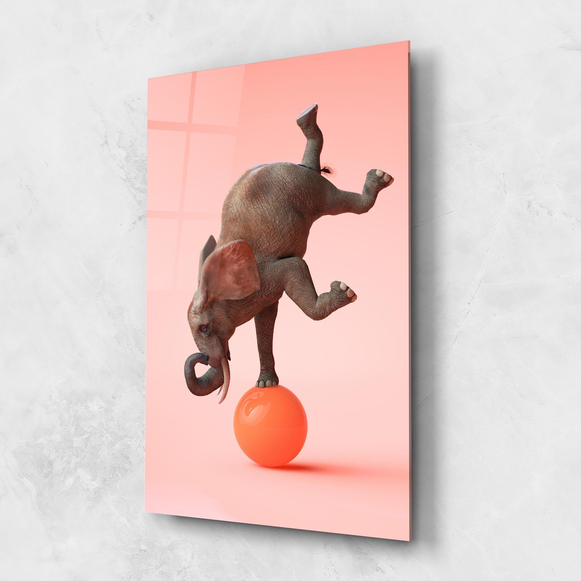 Glasbild Ball Elephant mockup 1