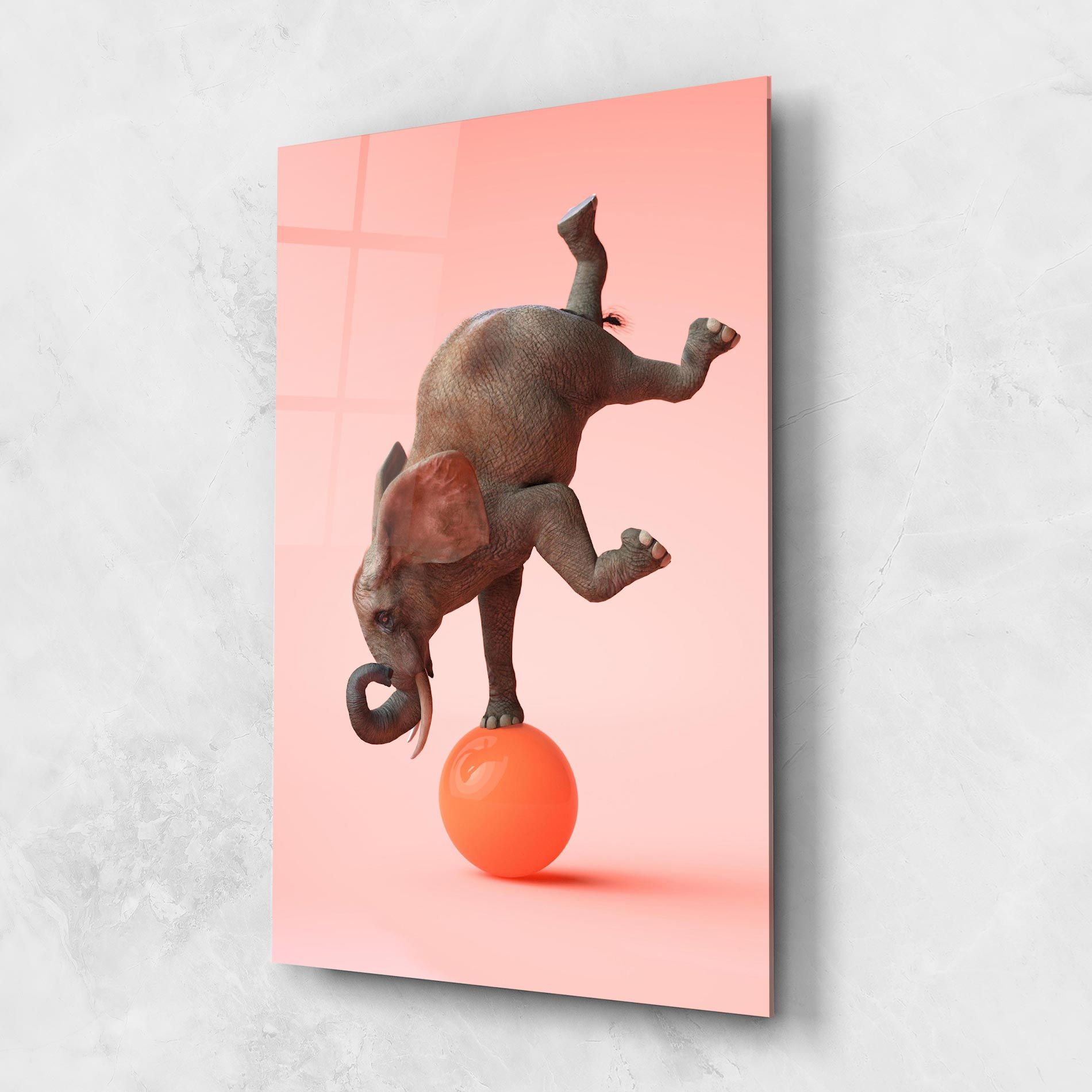 Ball Elephant mockup 1