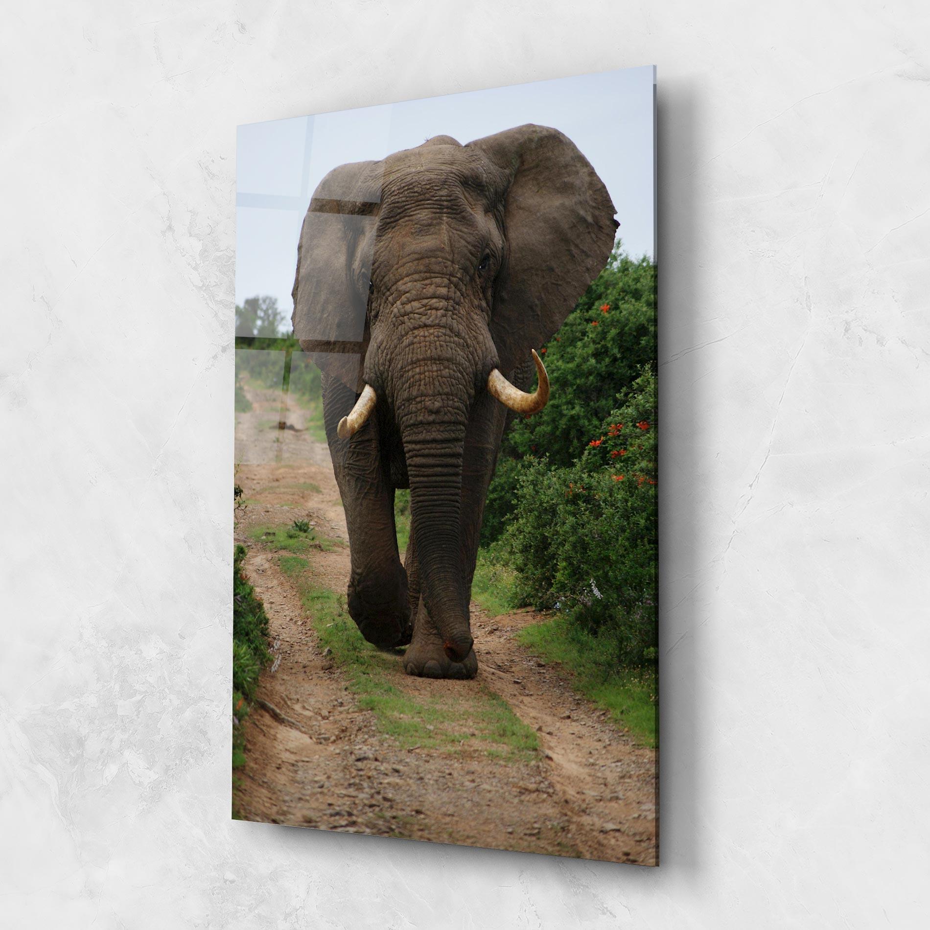Glasbild Elephant Safari mockup 1