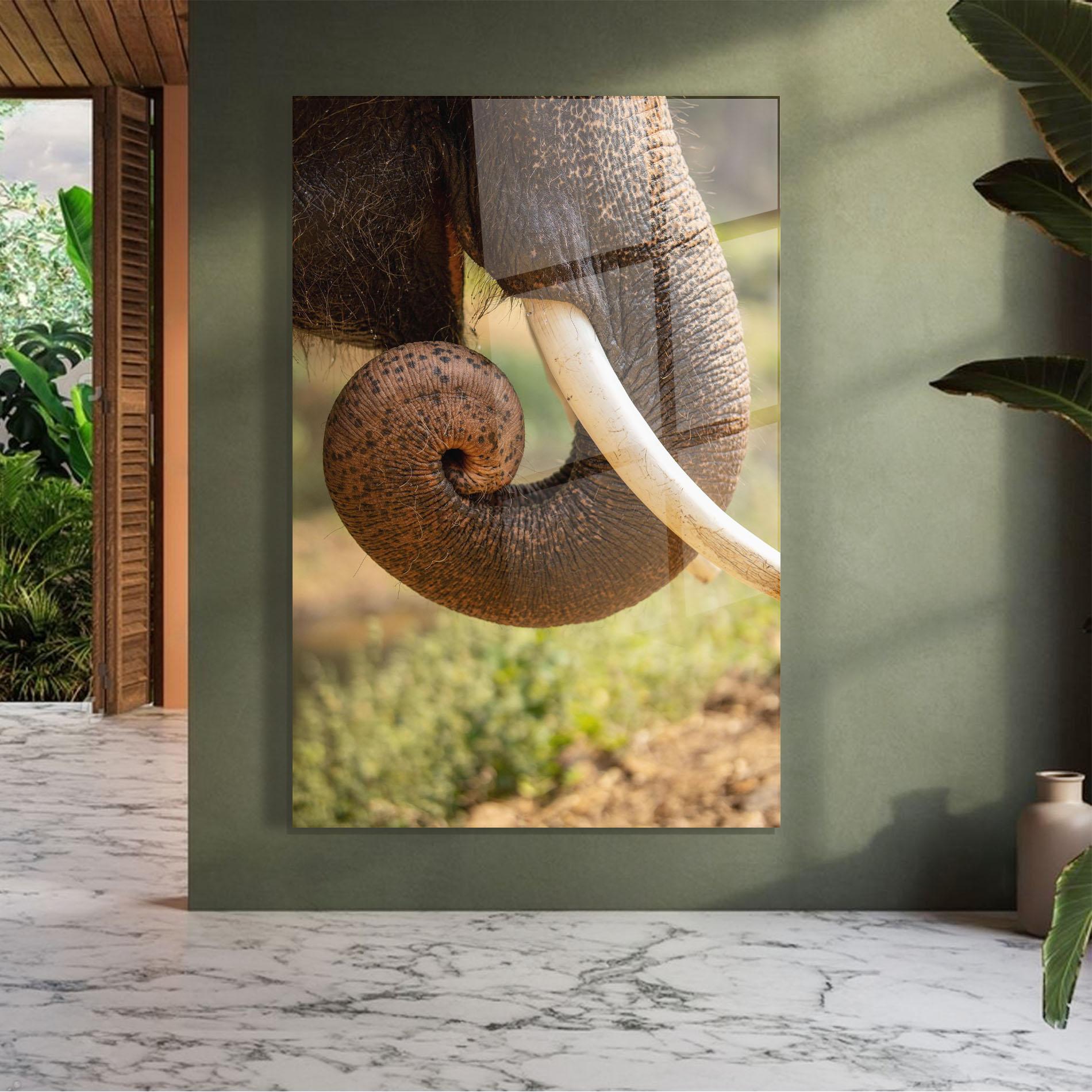 Glasbild Elephant Mouth Close Up mockup 7