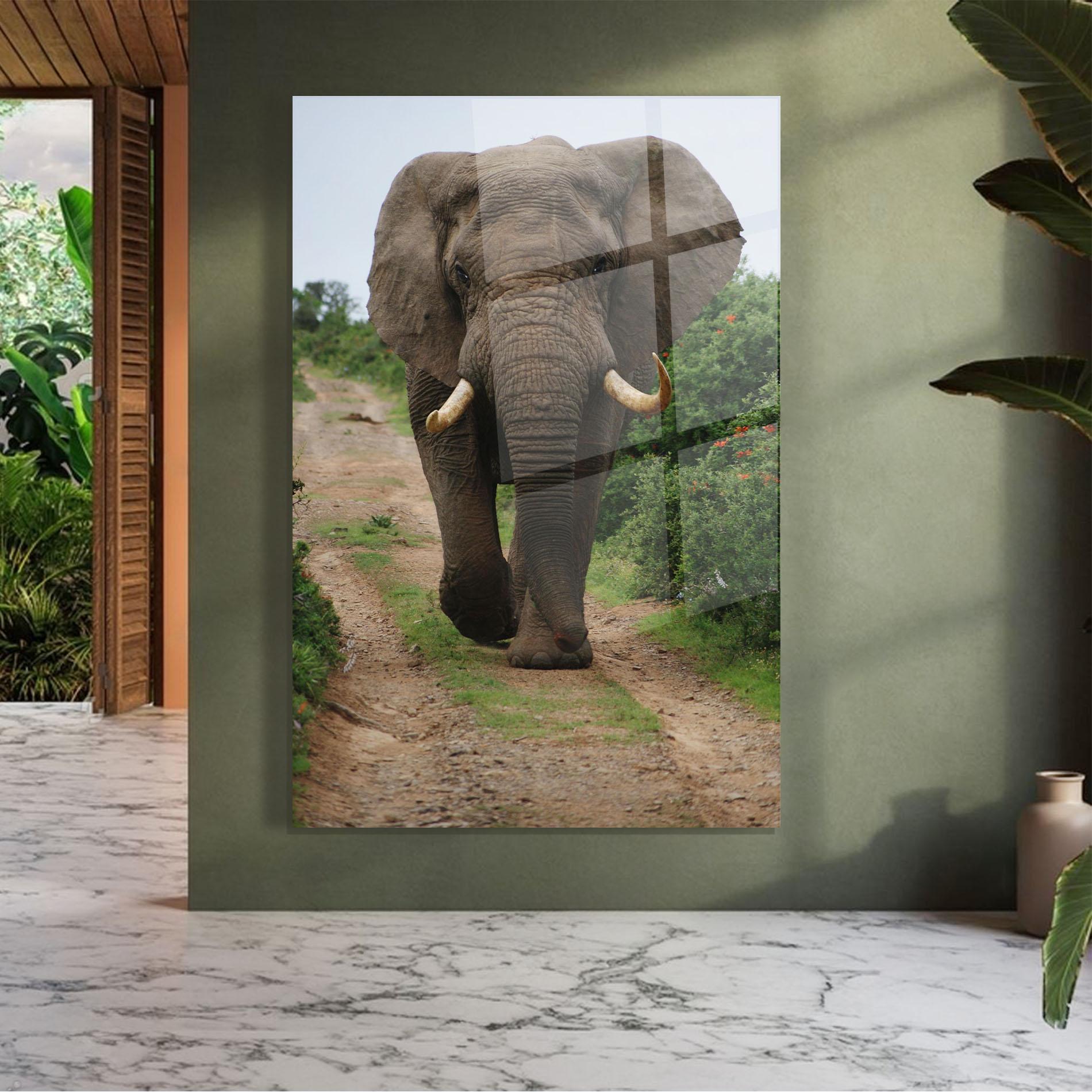 Glasbild Elephant Safari mockup 7