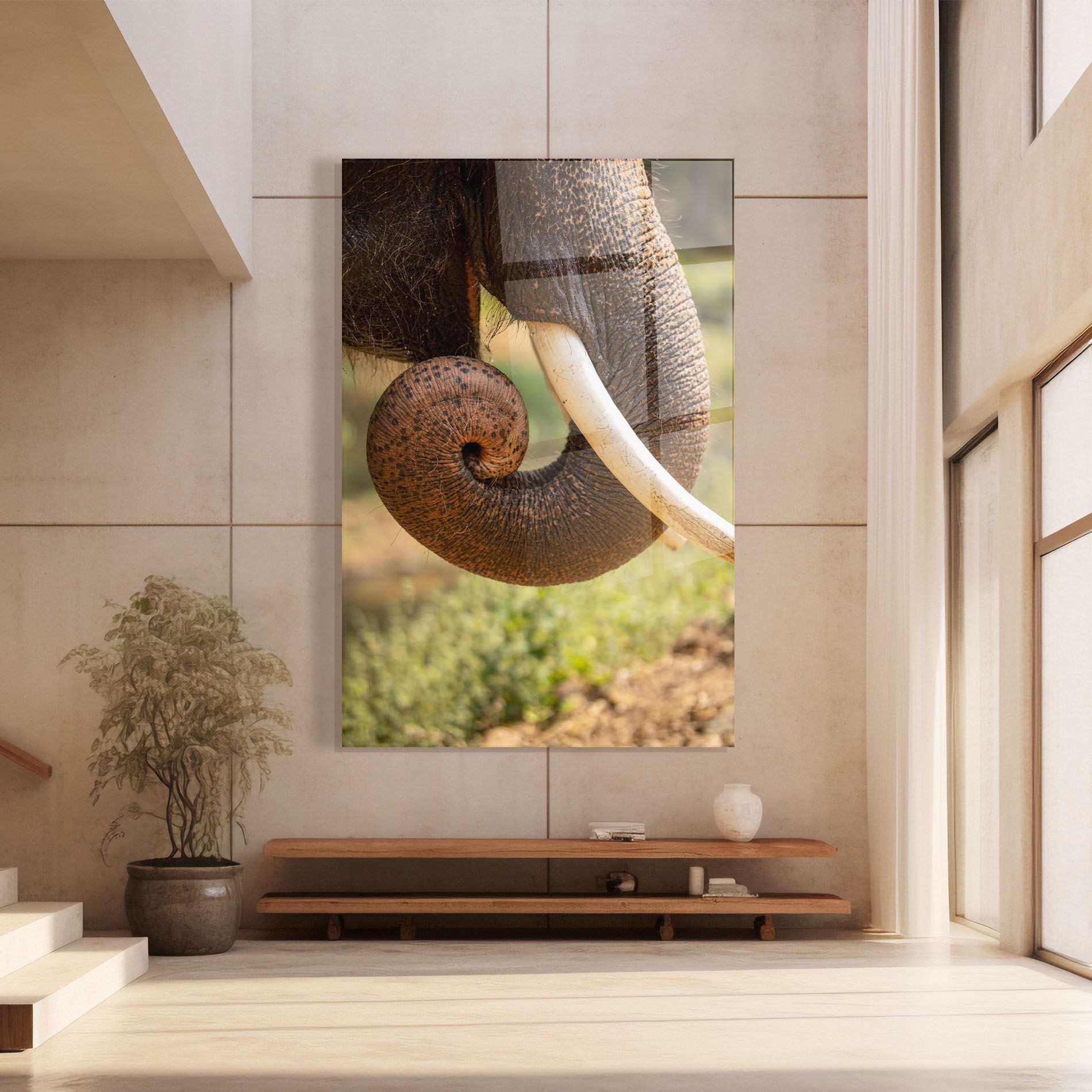 Elephant Mouth Close Up mockup 8