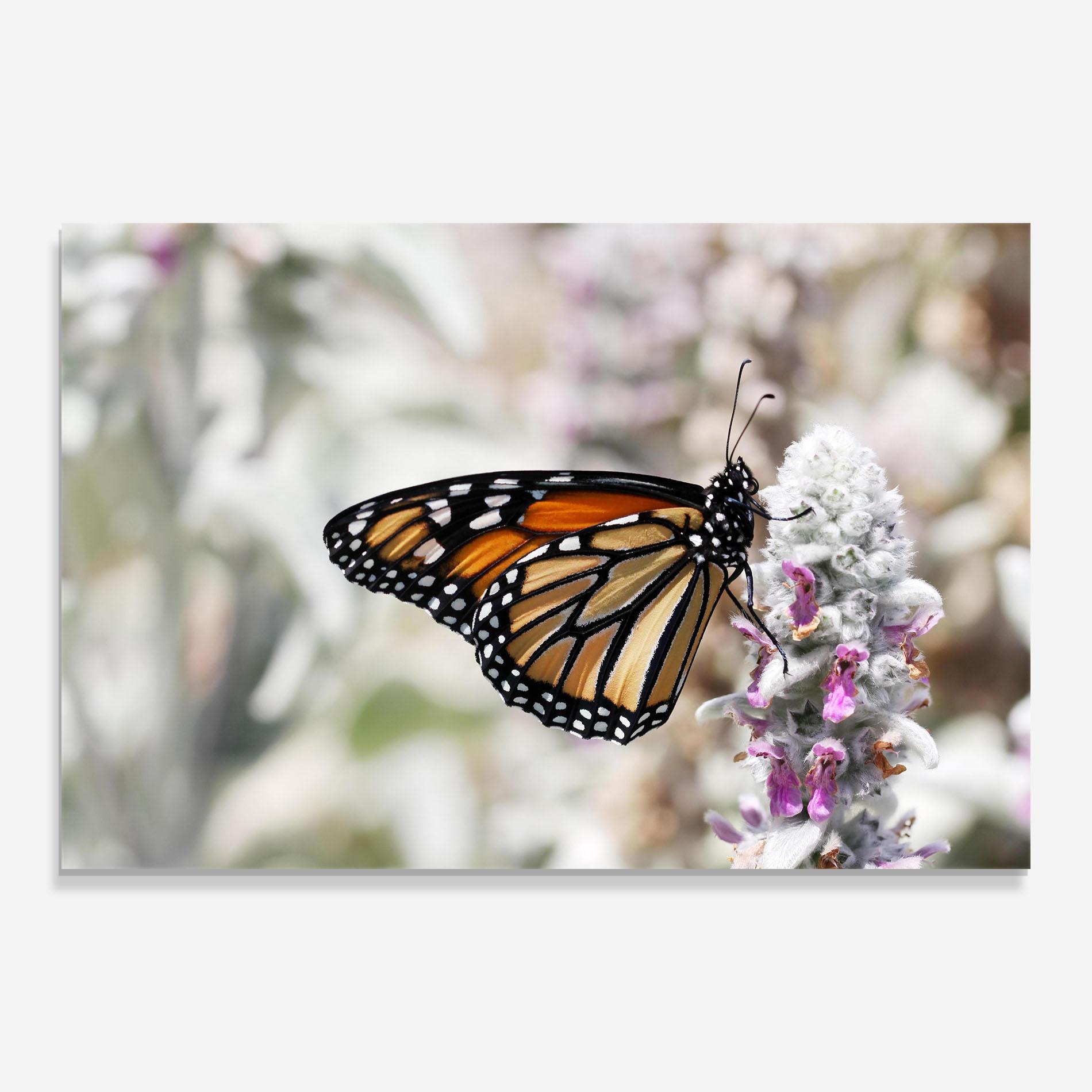 Glasbild Beauty Butterfly mockup 0