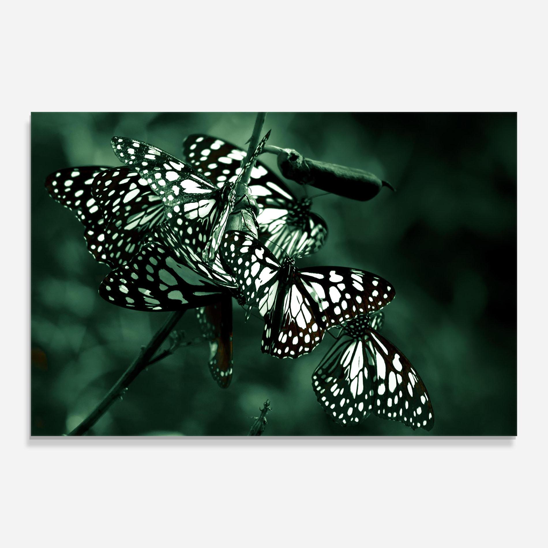 Glasbild Black White Butterflies mockup 0