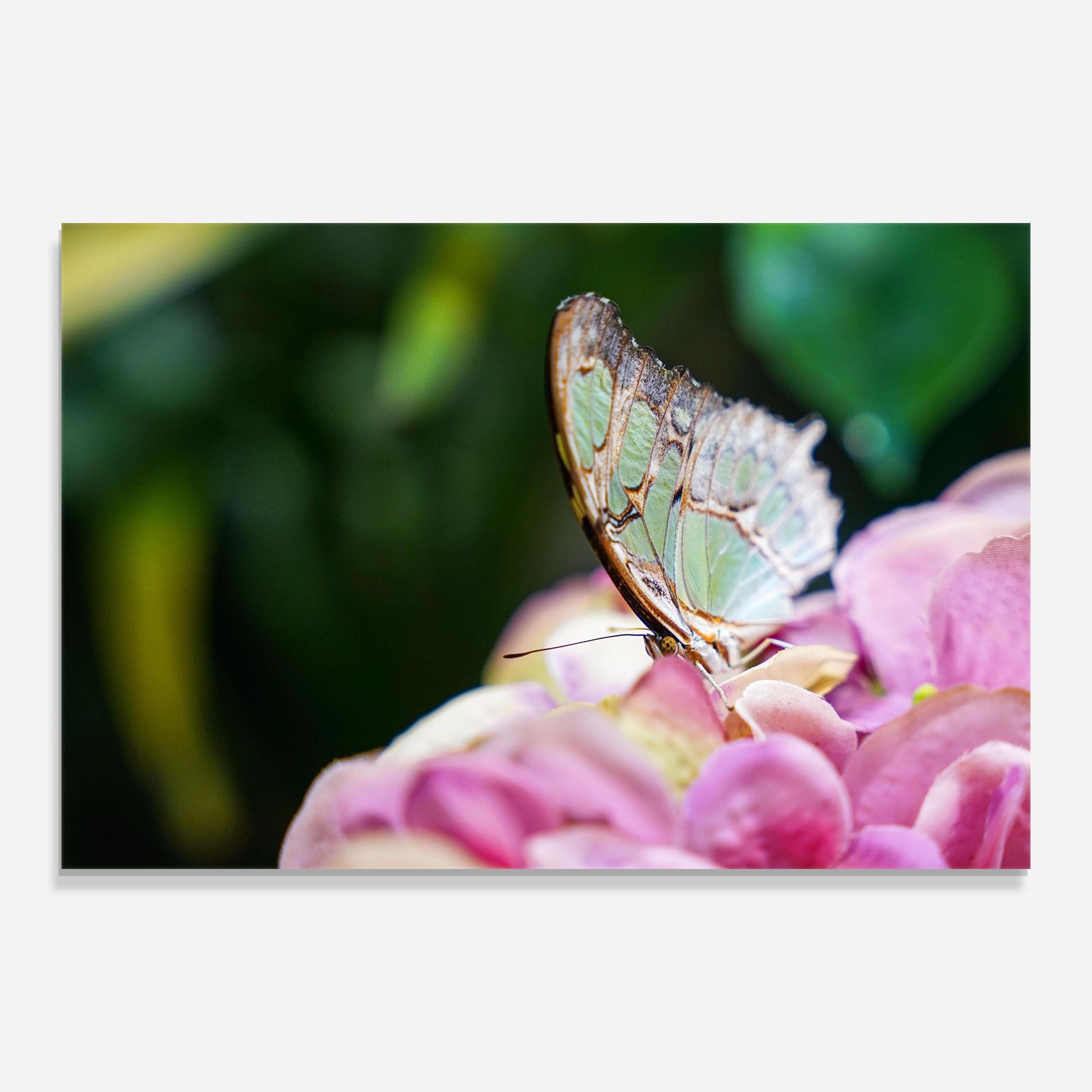 Nazrin Babashova Diuumqmfwys Unsplash mockup 0