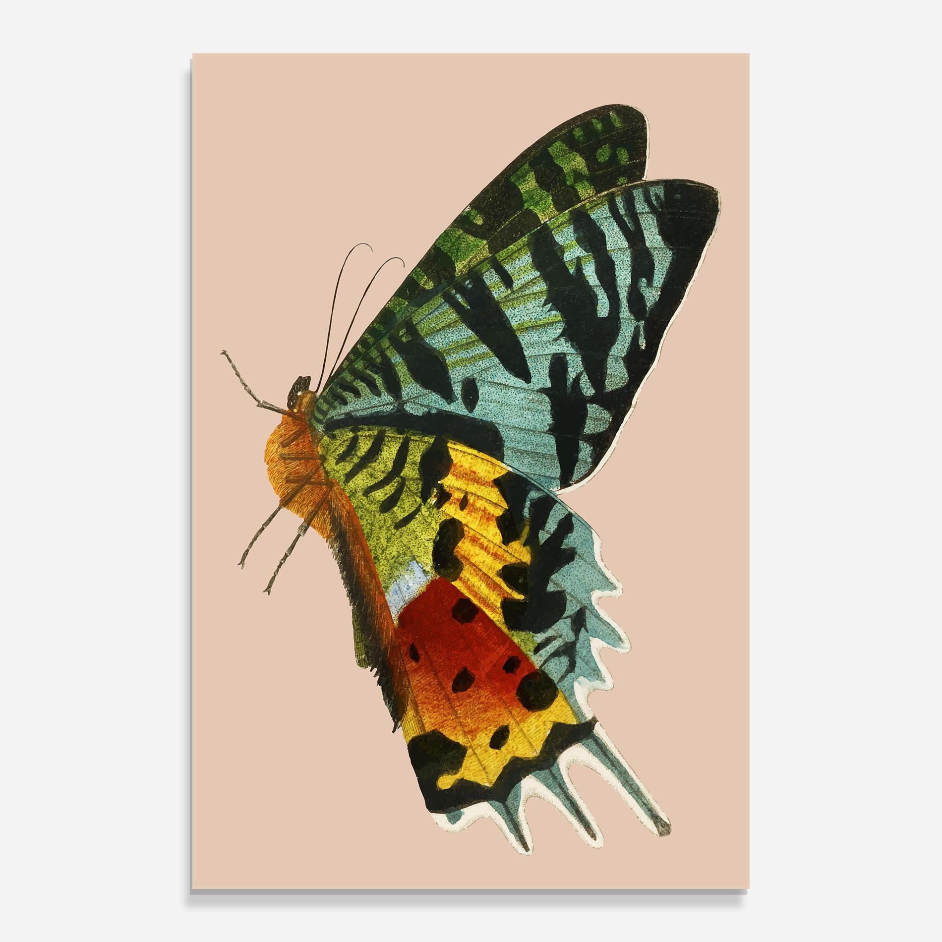 Glasbild Butterfly On Pink mockup 0