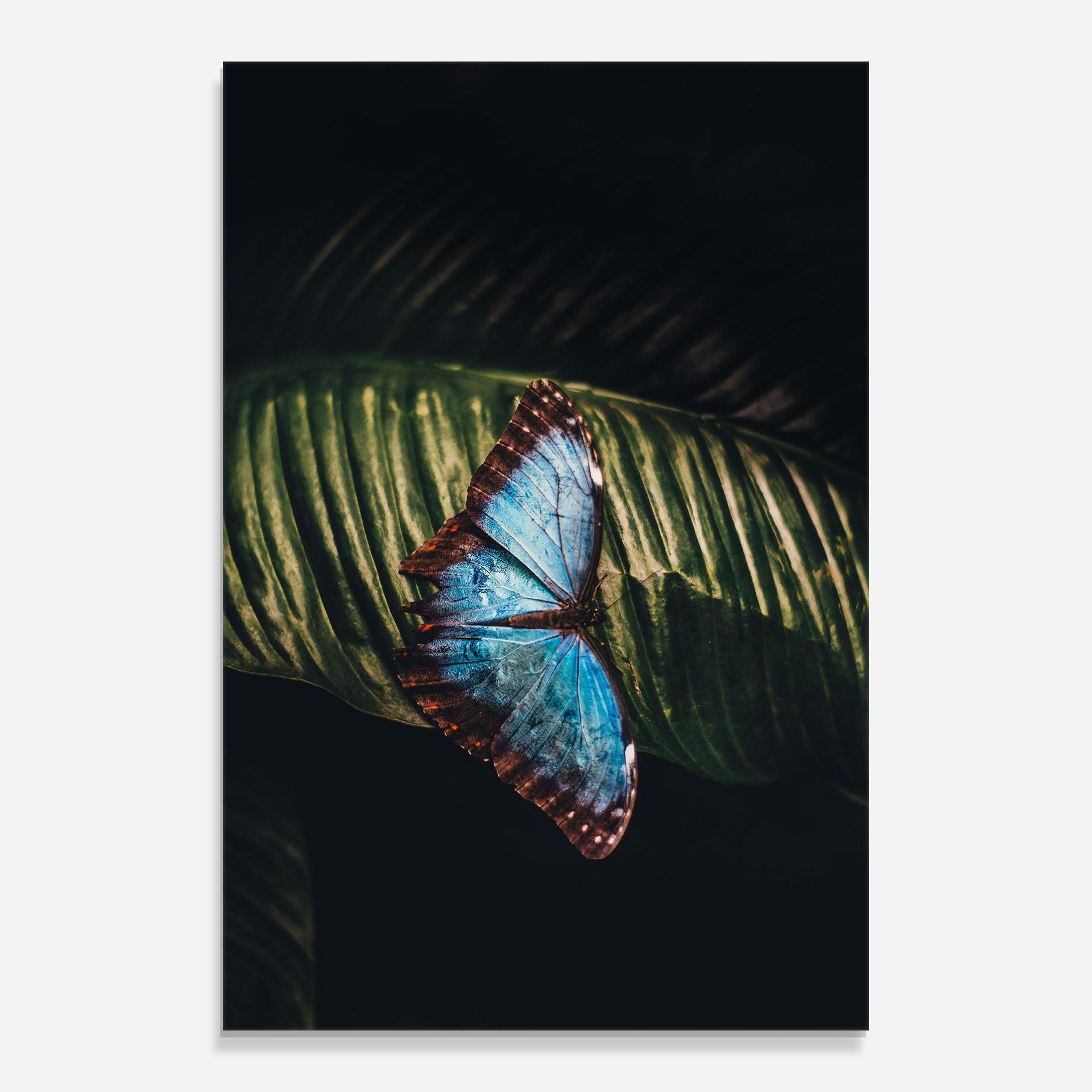 Glasbild Light Blue Butterfly mockup 0