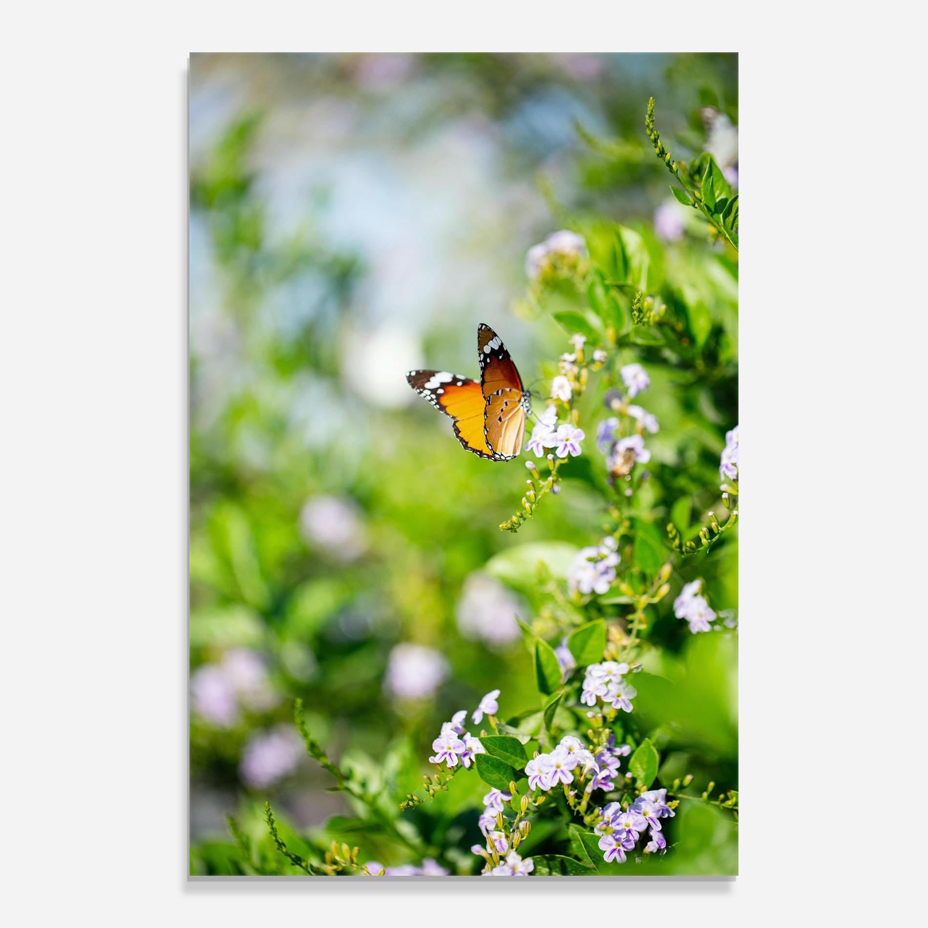 Glasbild Little Orange Elephant mockup 0