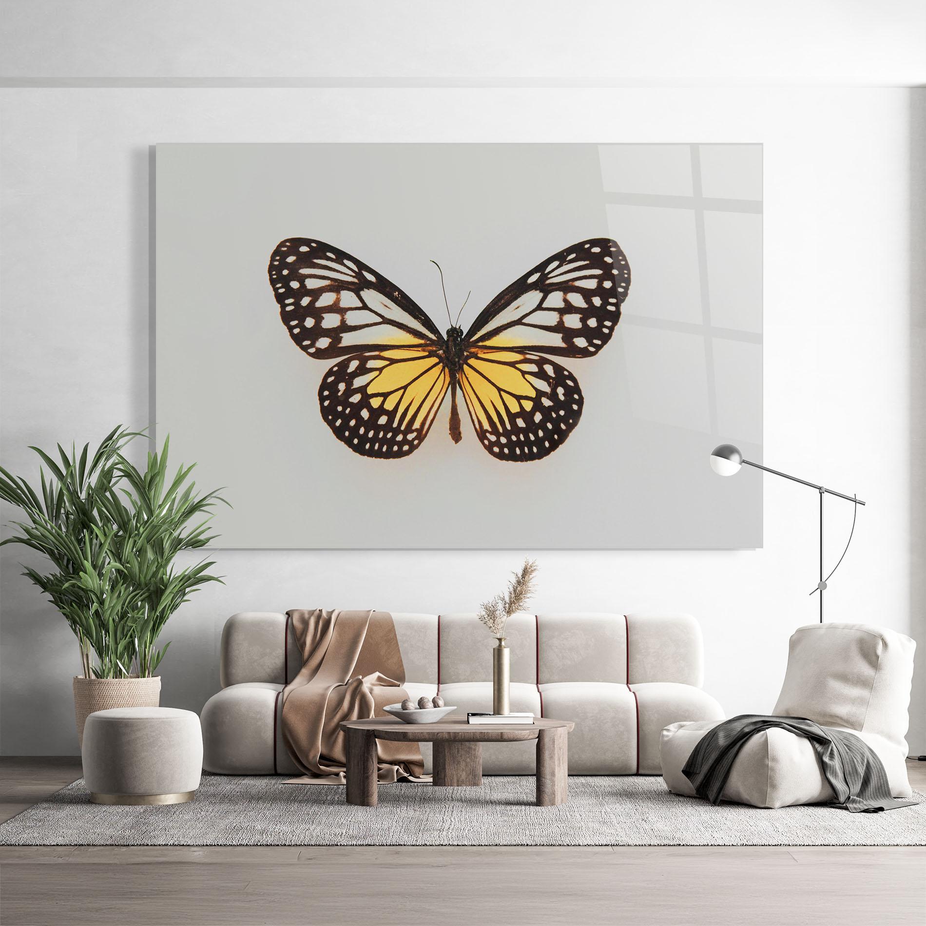 Glasbild Butterfly On Grey mockup 9