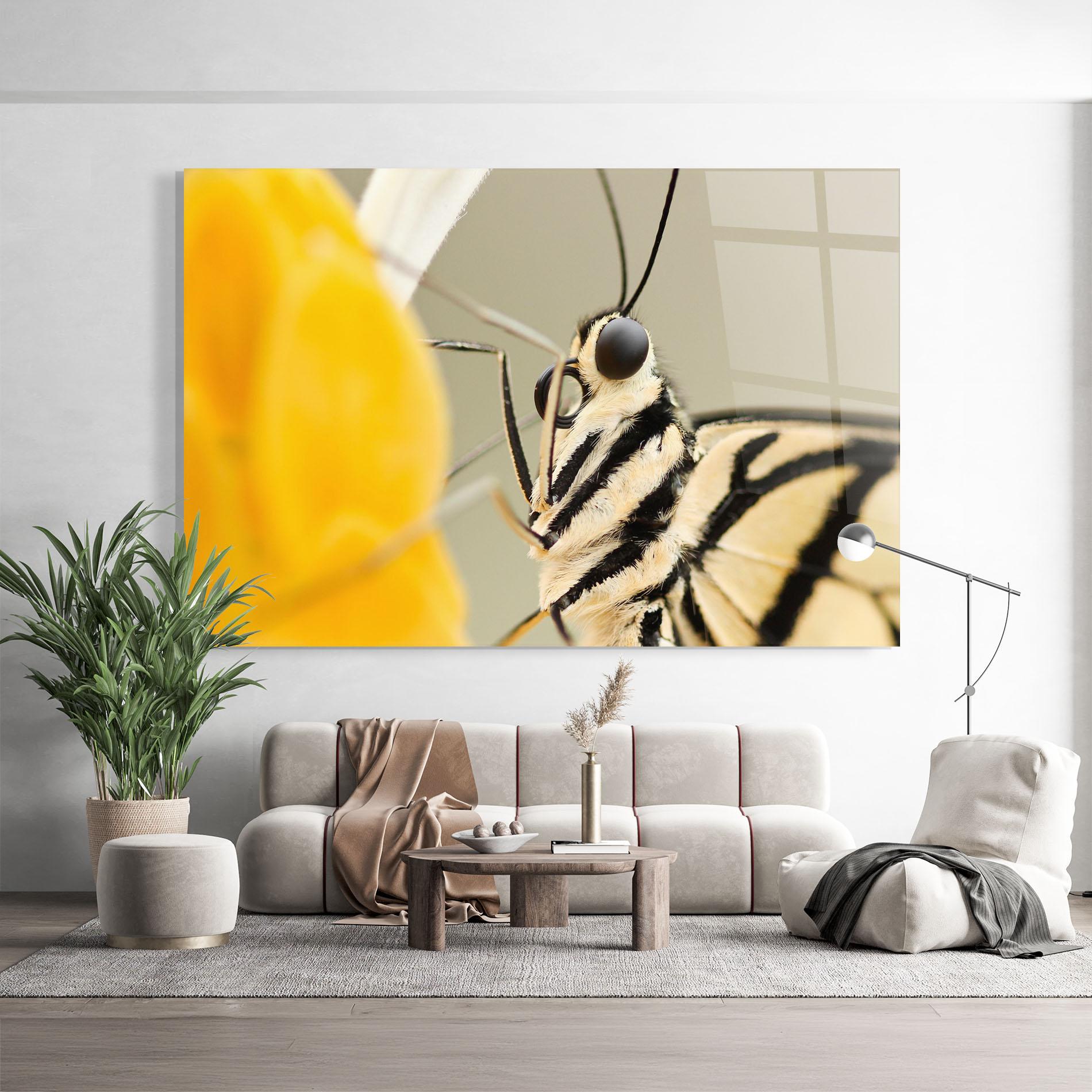 Glasbild Close Up Cream Butterfly mockup 9