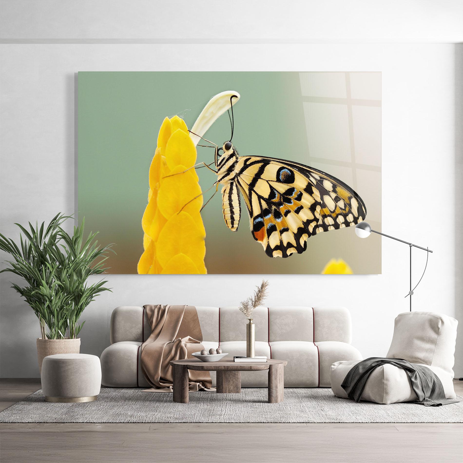 Glasbild Cream Yellow Butterfly mockup 9