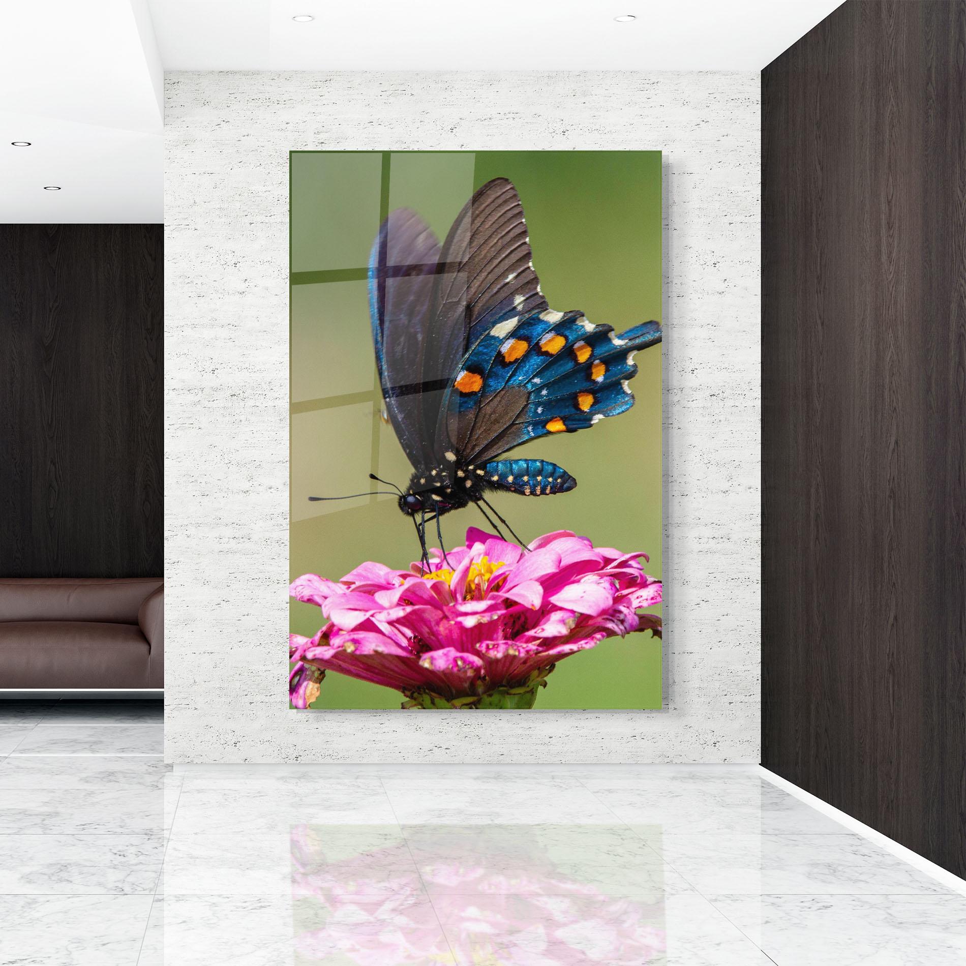 Glasbild Blue Grey Butterfly mockup 9