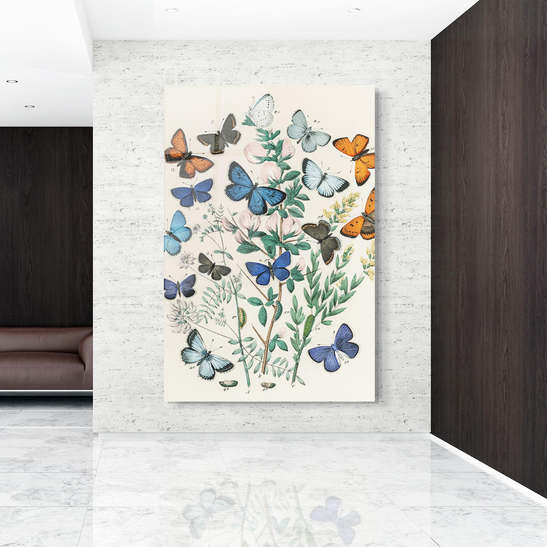 Glasbild Blue Orange Butterflies mockup 9