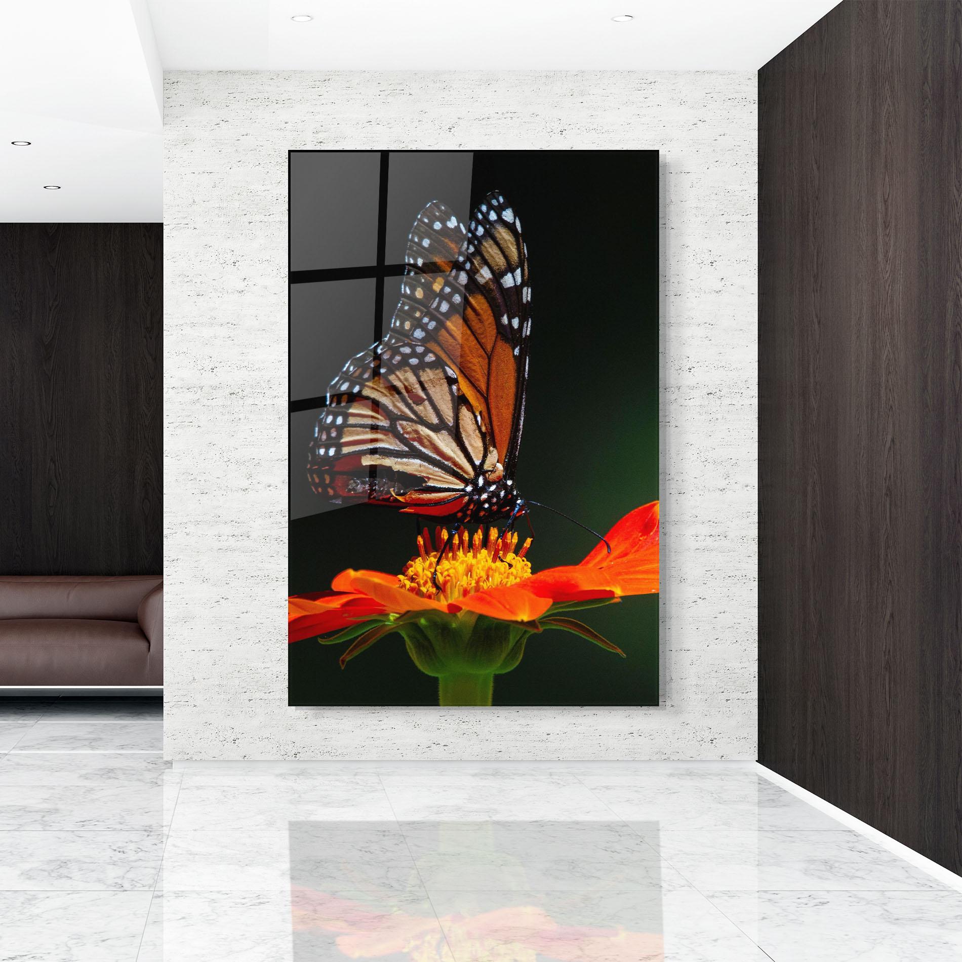 Glasbild Dark Orange Butterfy mockup 9