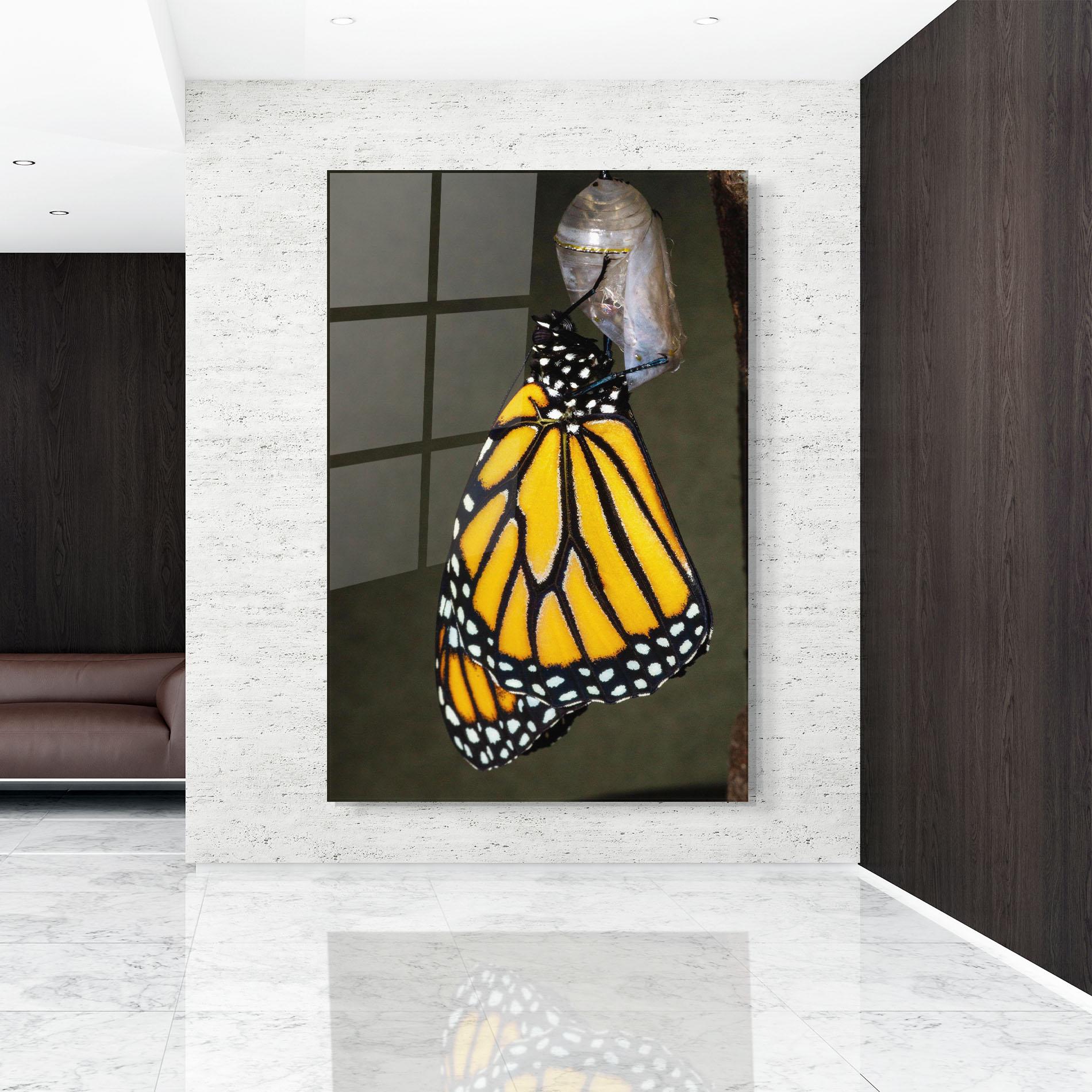 Glasbild Dark Yellow Butterfly mockup 9