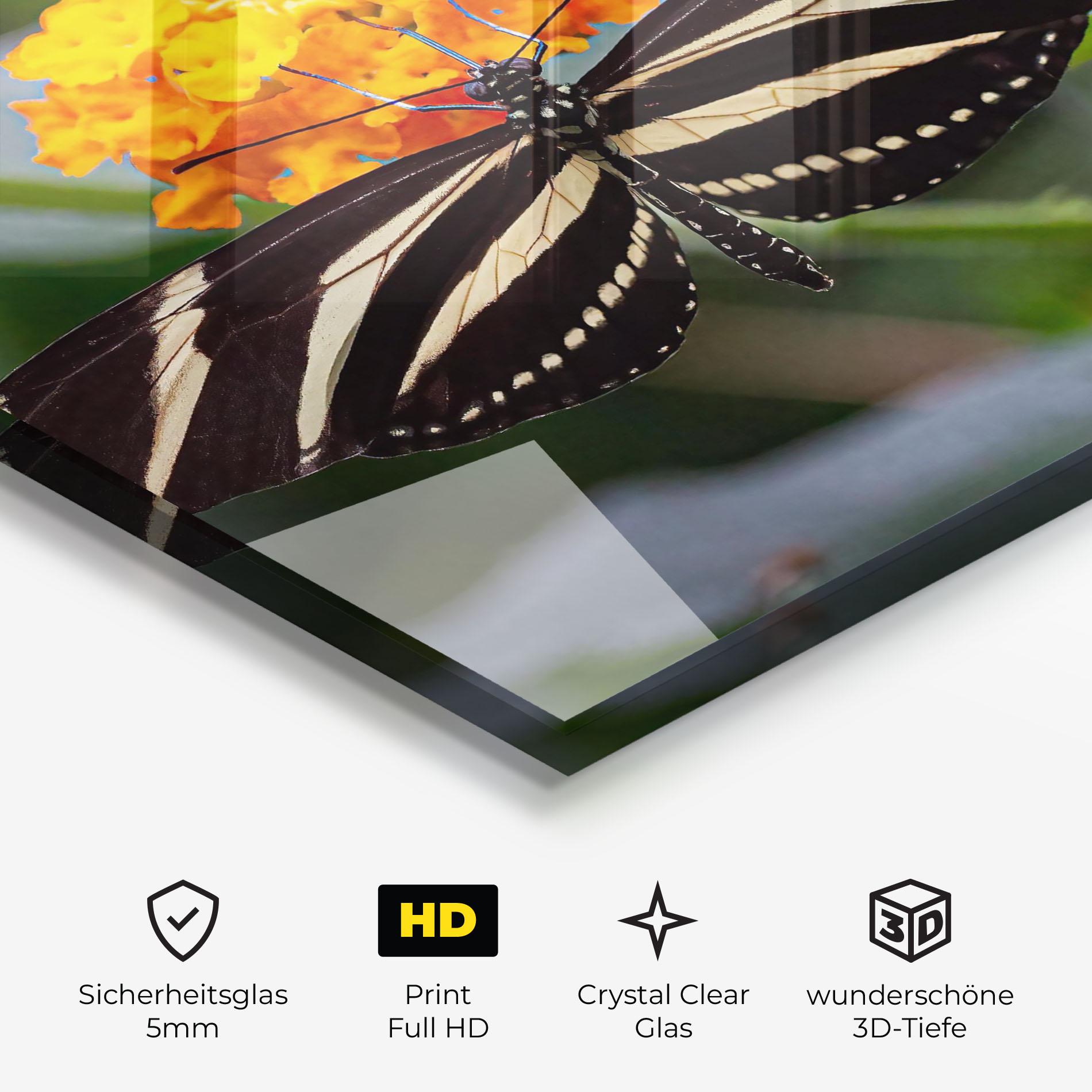 Glasbild Big Wings Butterfly mockup 3