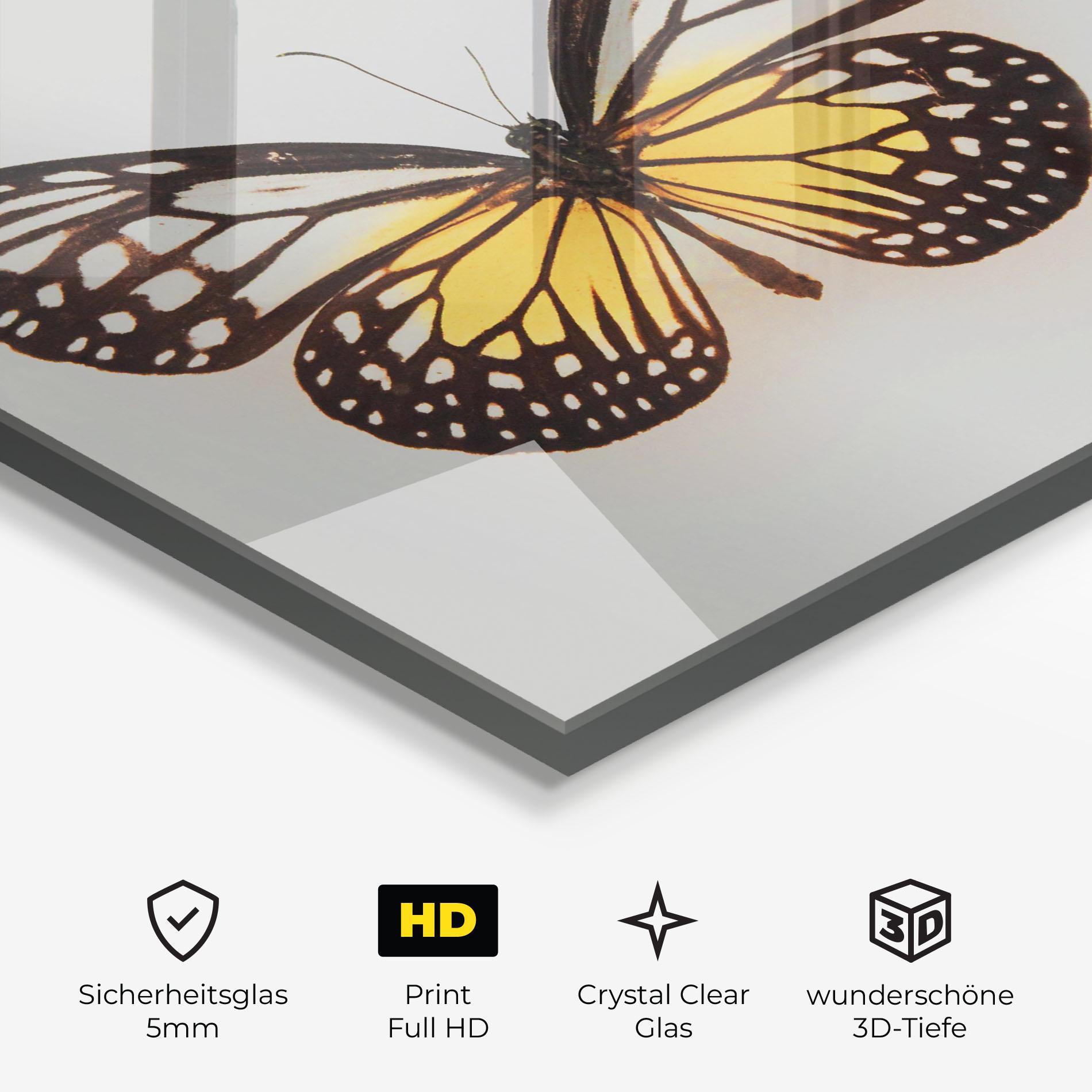 Glasbild Butterfly On Grey mockup 3