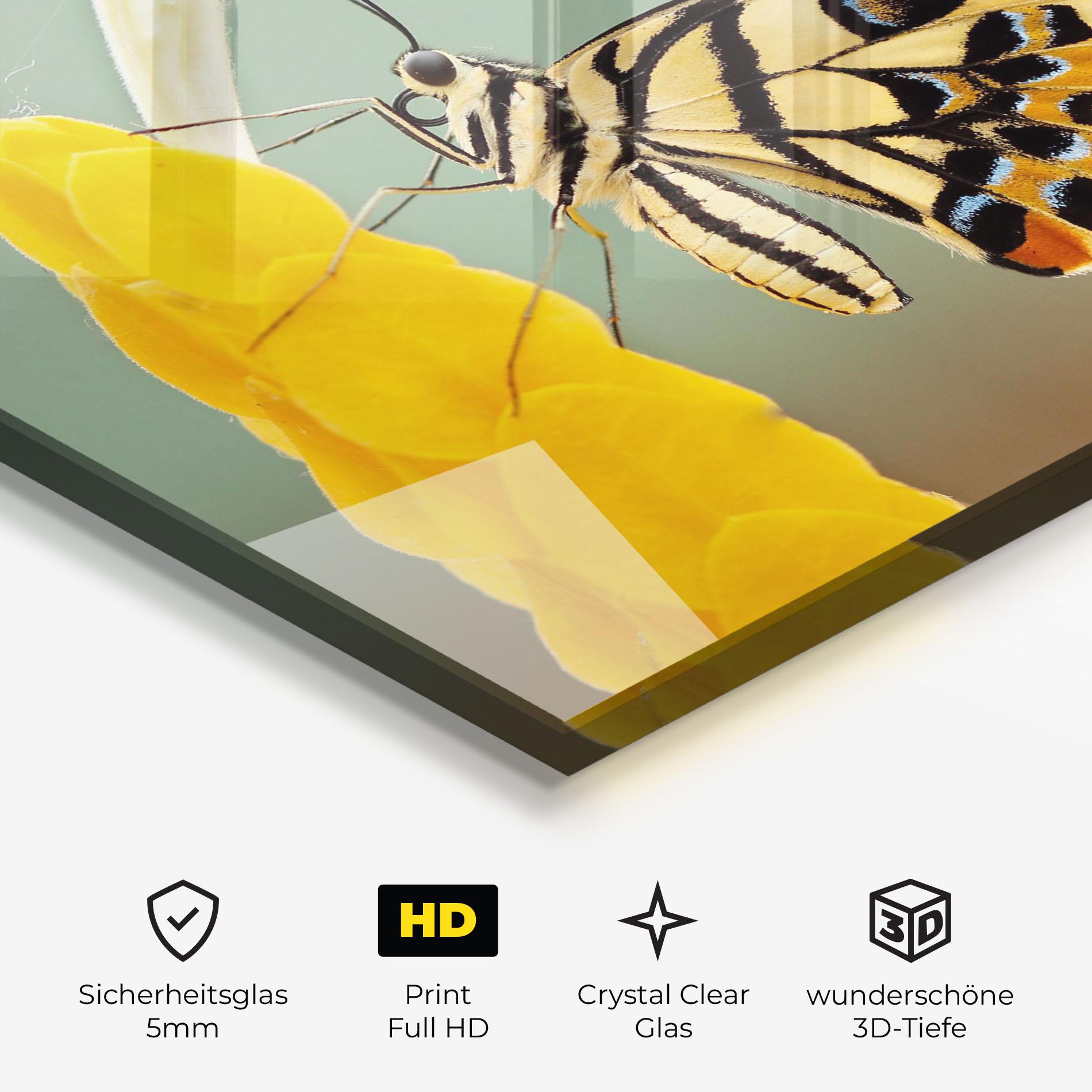 Glasbild Cream Yellow Butterfly mockup 3