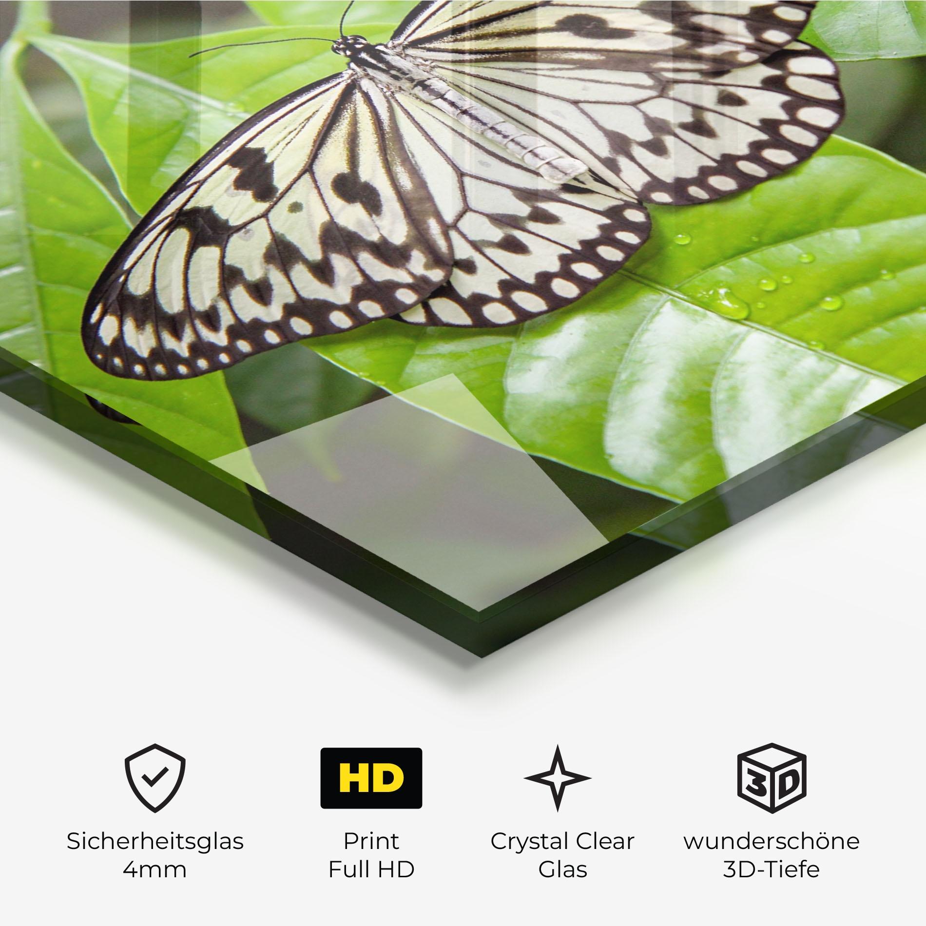 Glasbild Beautiful White Butterfly mockup 3