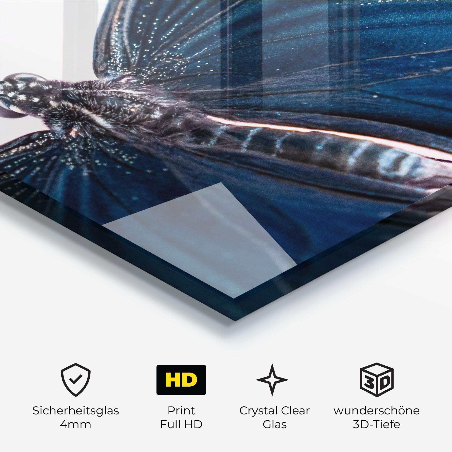 Glasbild Blue Butterfly mockup 3