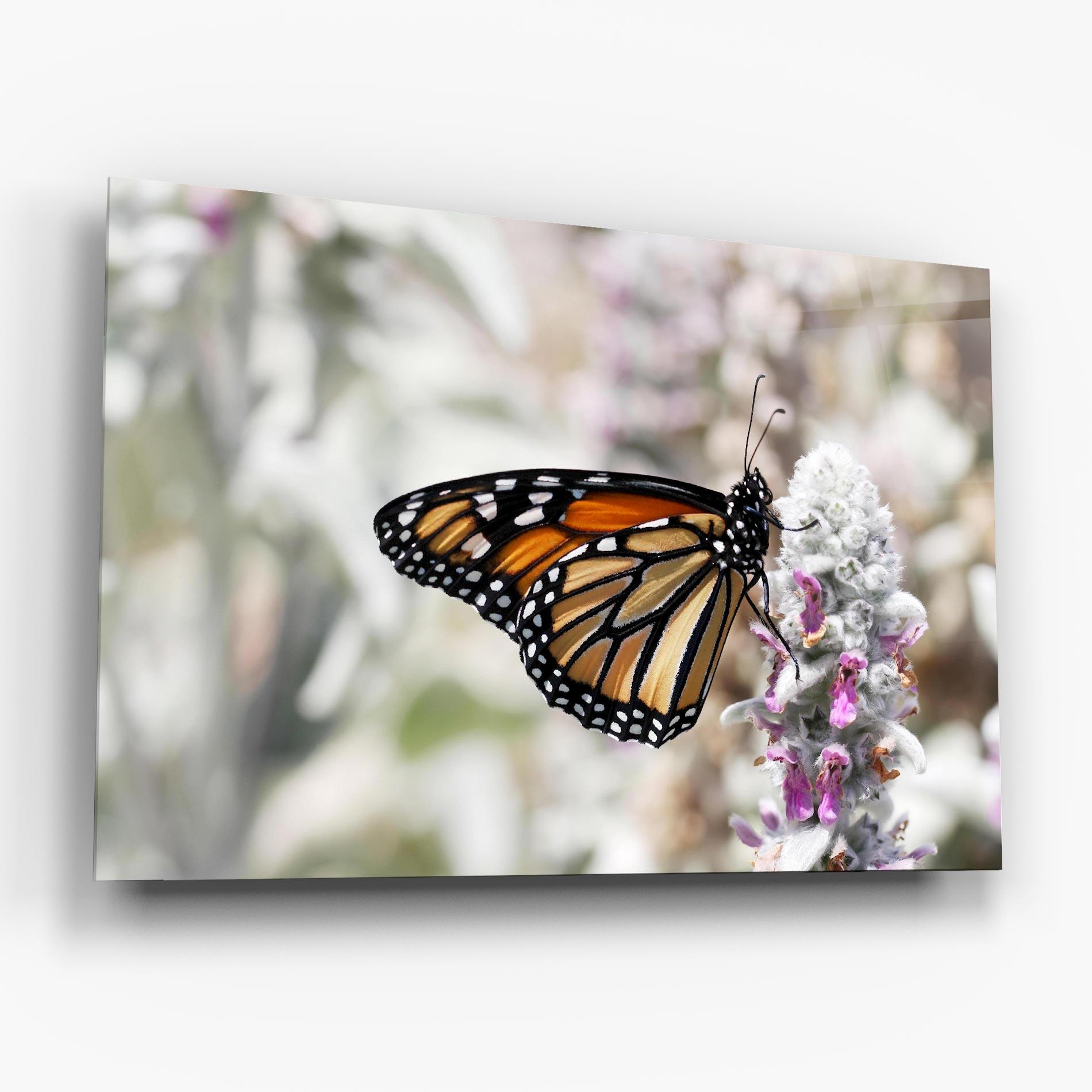 Glasbild Beauty Butterfly mockup 6