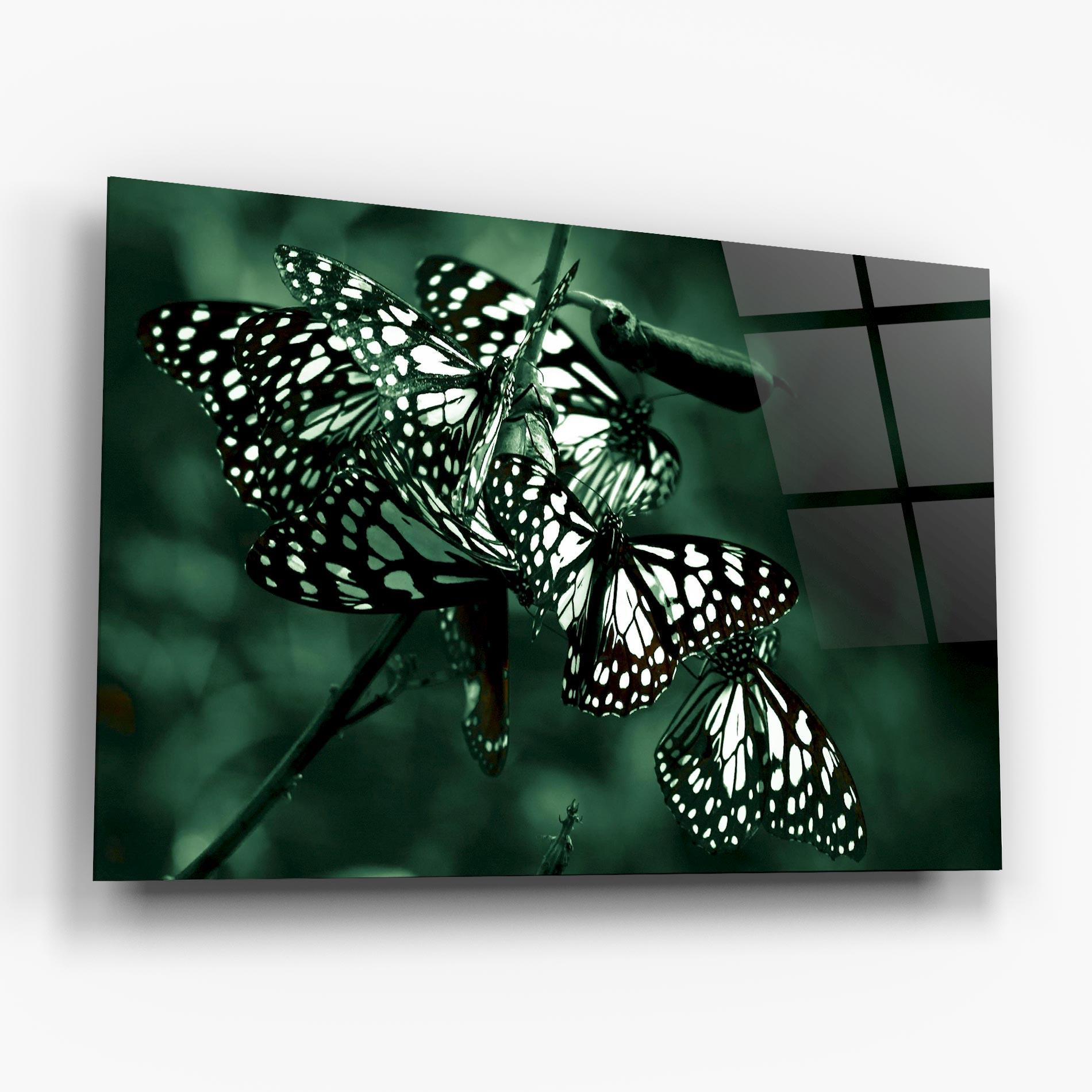 Glasbild Black White Butterflies mockup 6