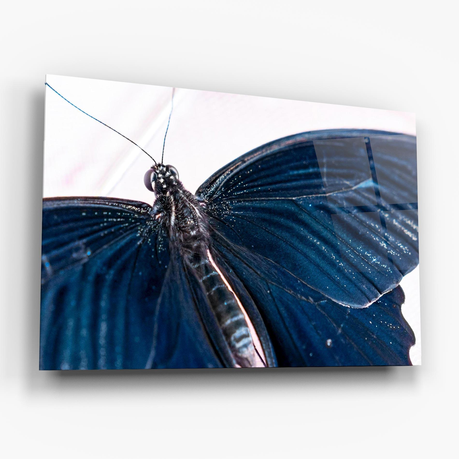 Glasbild Blue Butterfly mockup 6