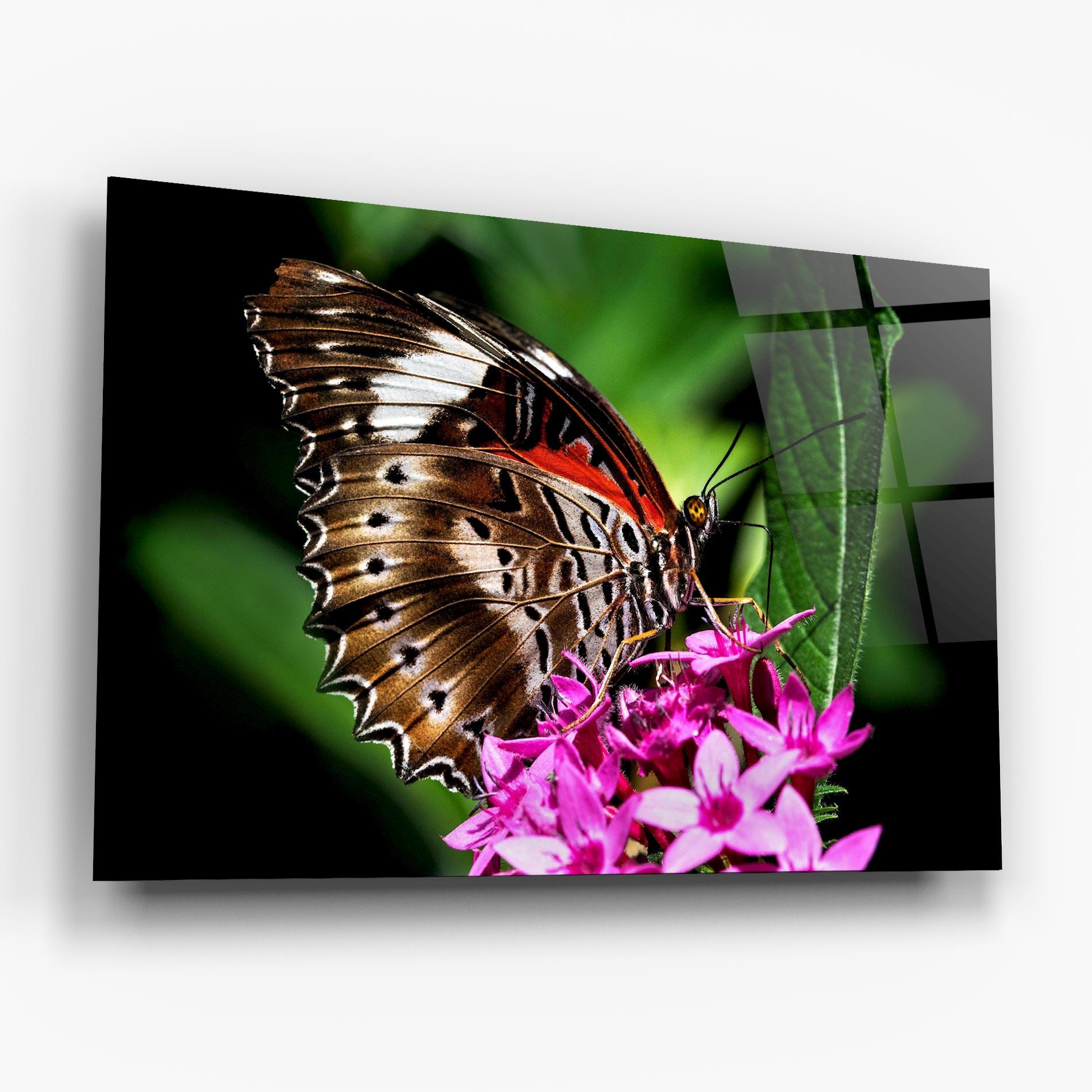 Glasbild Brown Red Butterfly mockup 6