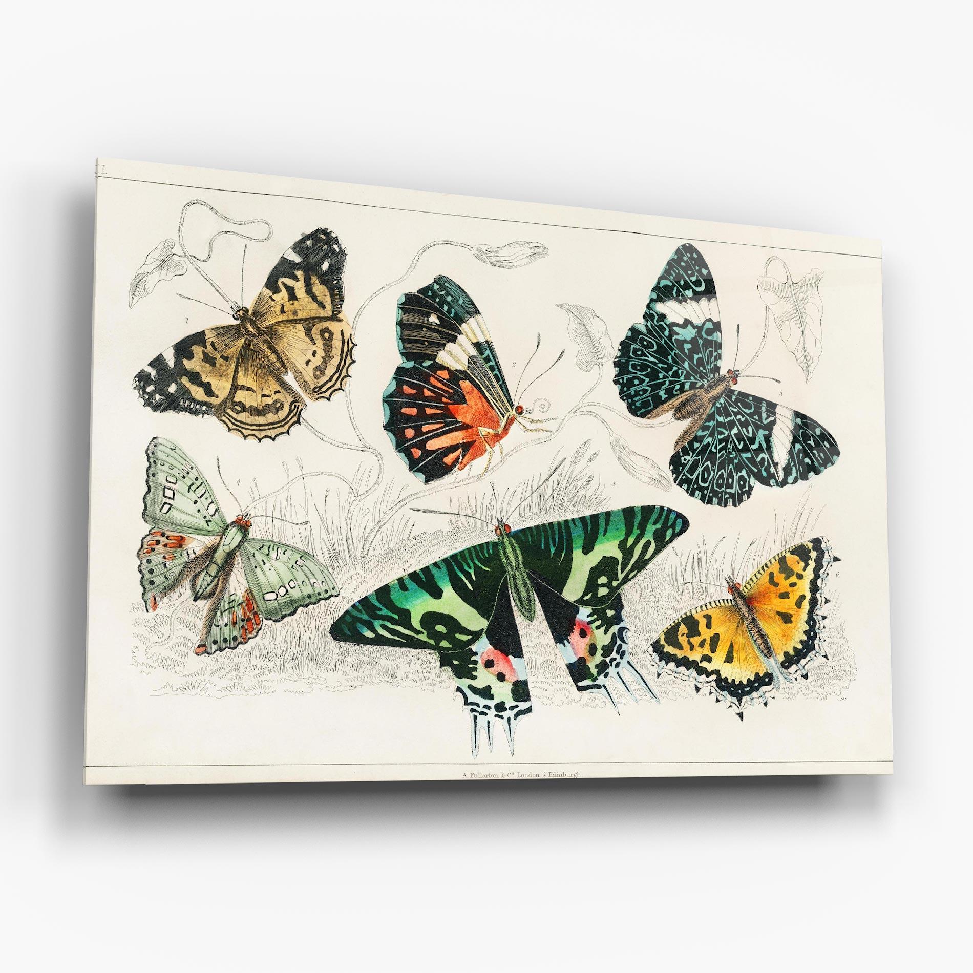 Glasbild Butterfly Art mockup 6