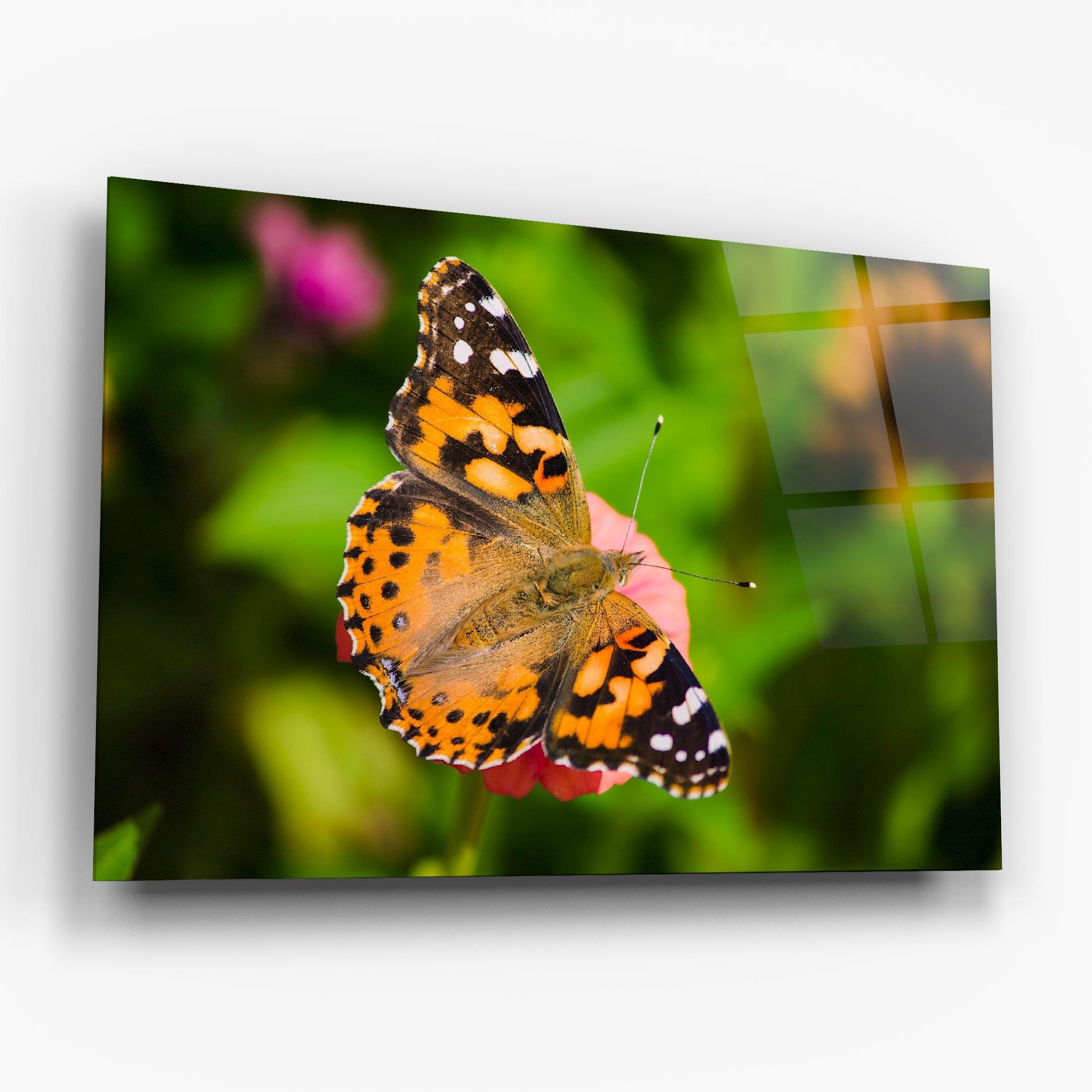 Glasbild Butterfly On Flower mockup 6