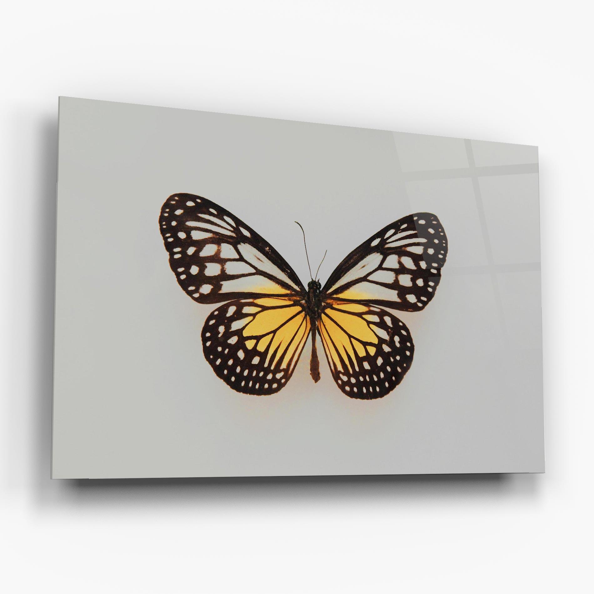 Glasbild Butterfly On Grey mockup 6