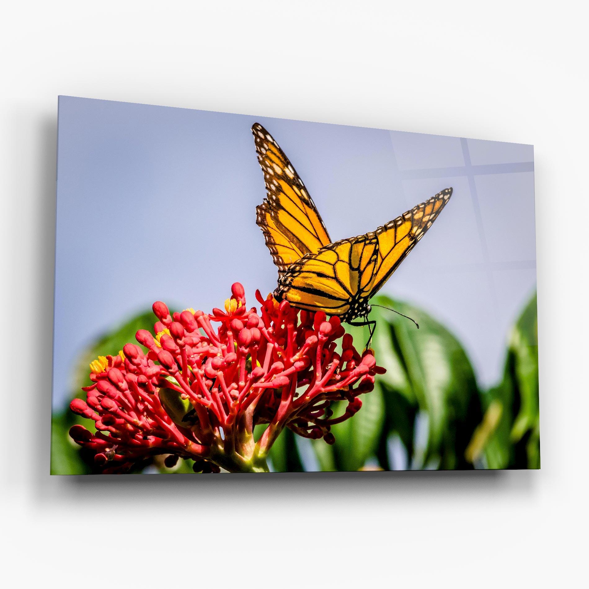 Glasbild Butterfly On Red Flower mockup 6