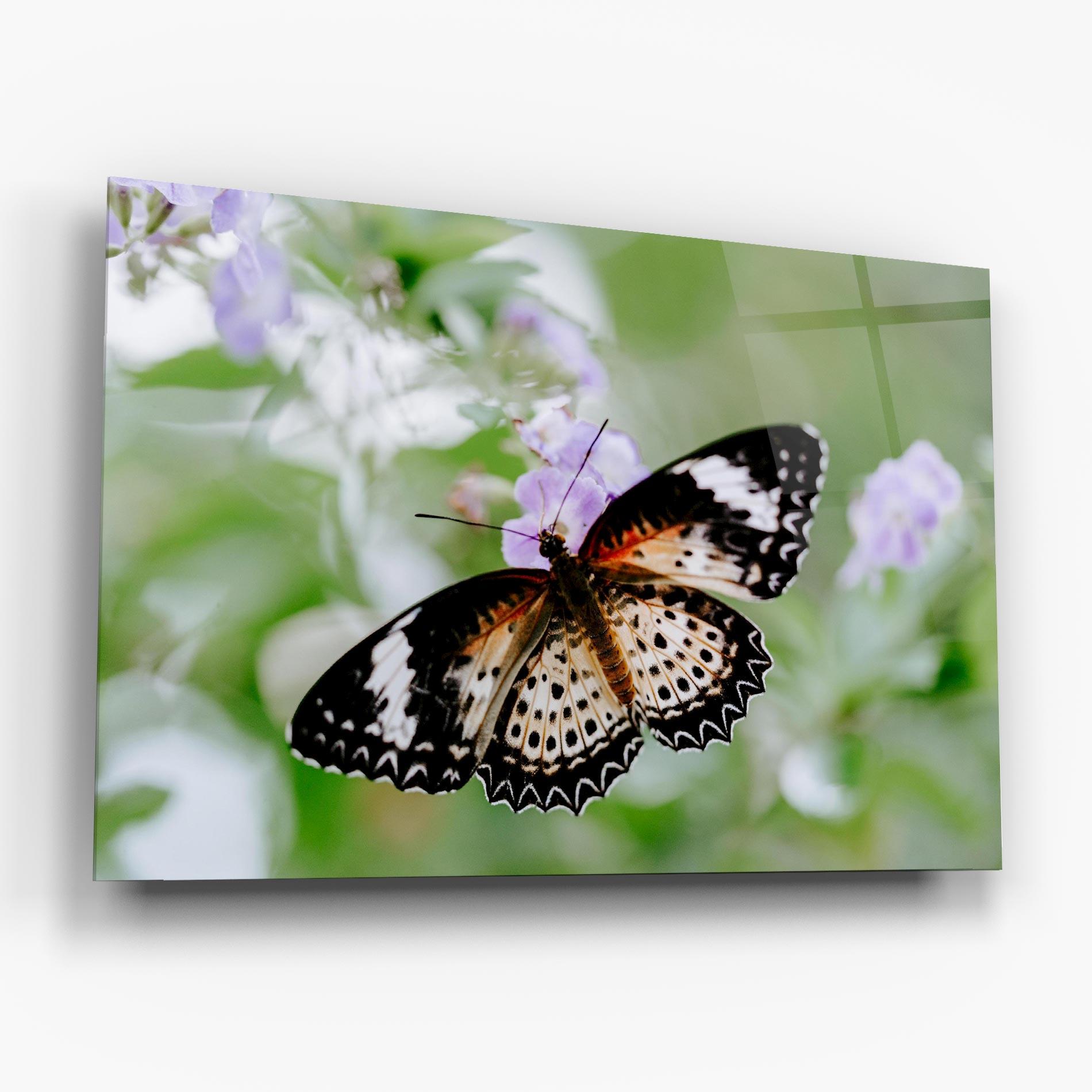 Glasbild Cream Orange Butterfly mockup 6