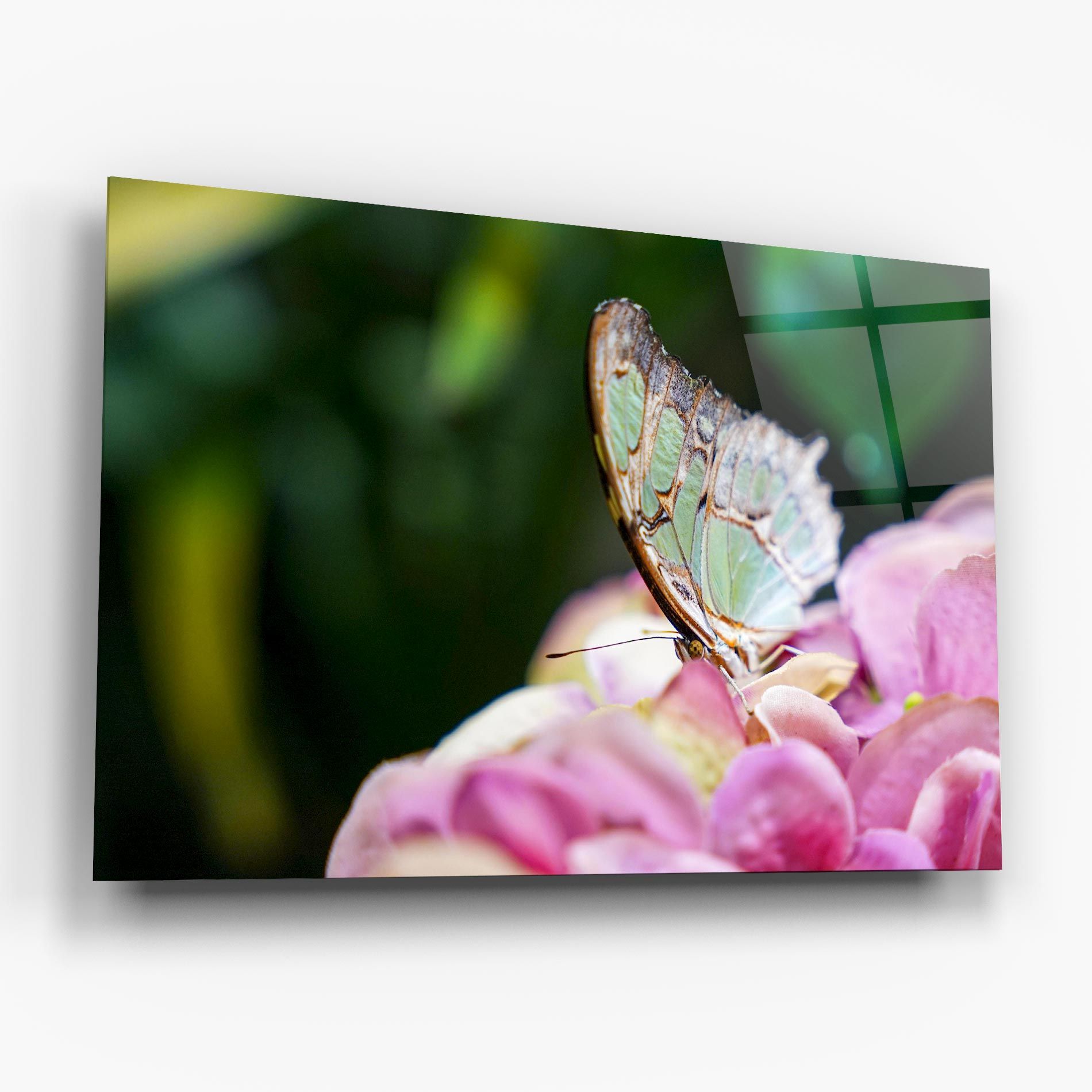 Nazrin Babashova Diuumqmfwys Unsplash mockup 6