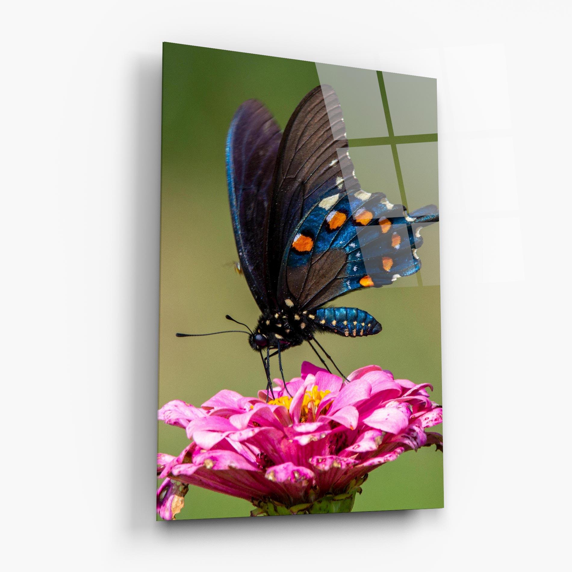 Glasbild Blue Grey Butterfly mockup 6