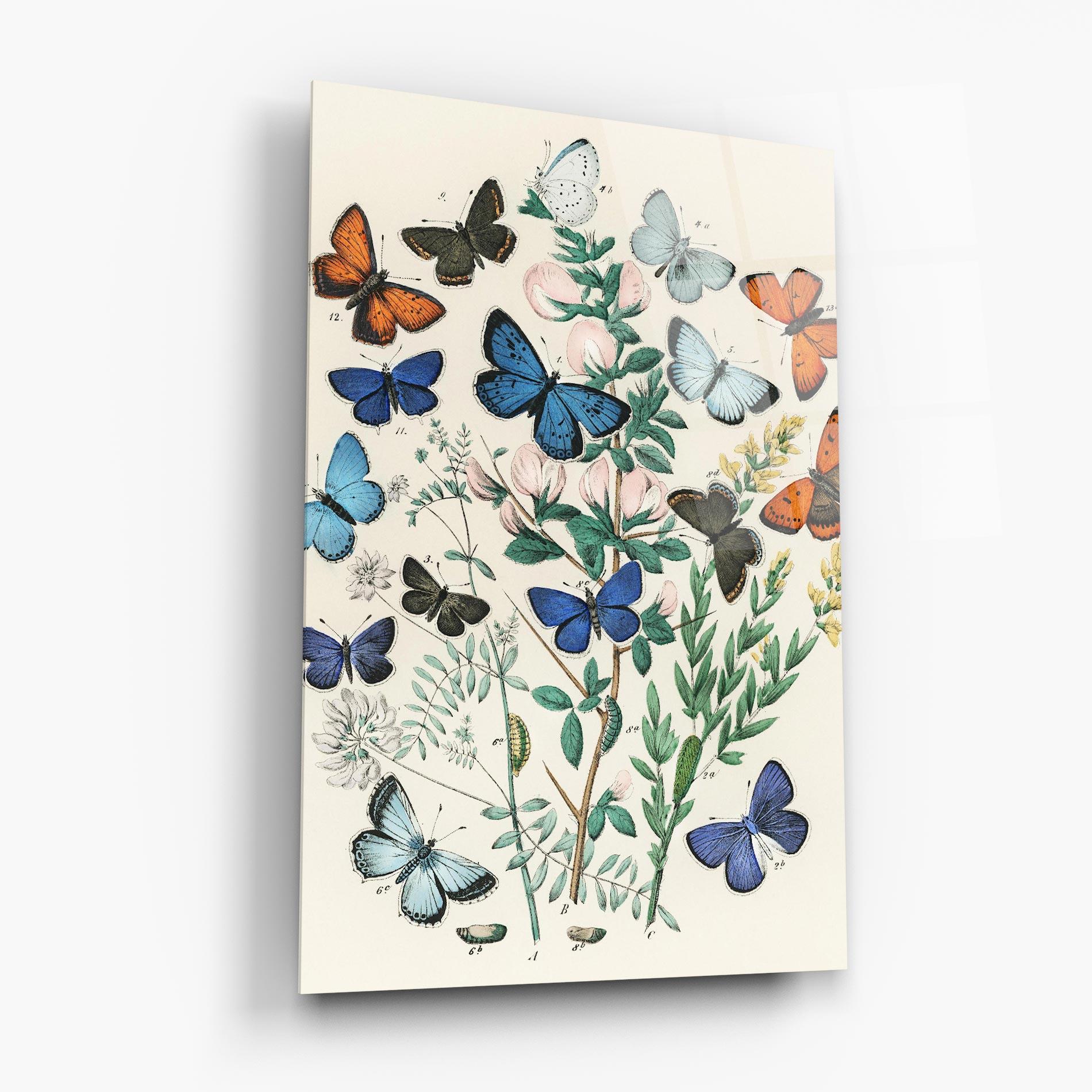 Glasbild Blue Orange Butterflies mockup 6