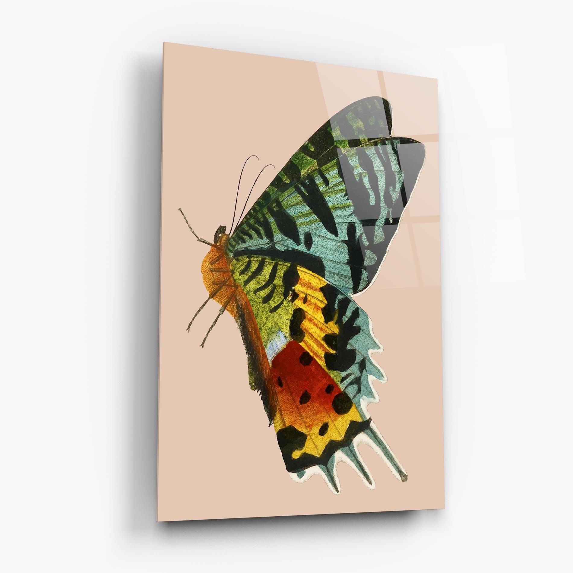 Glasbild Butterfly On Pink mockup 6