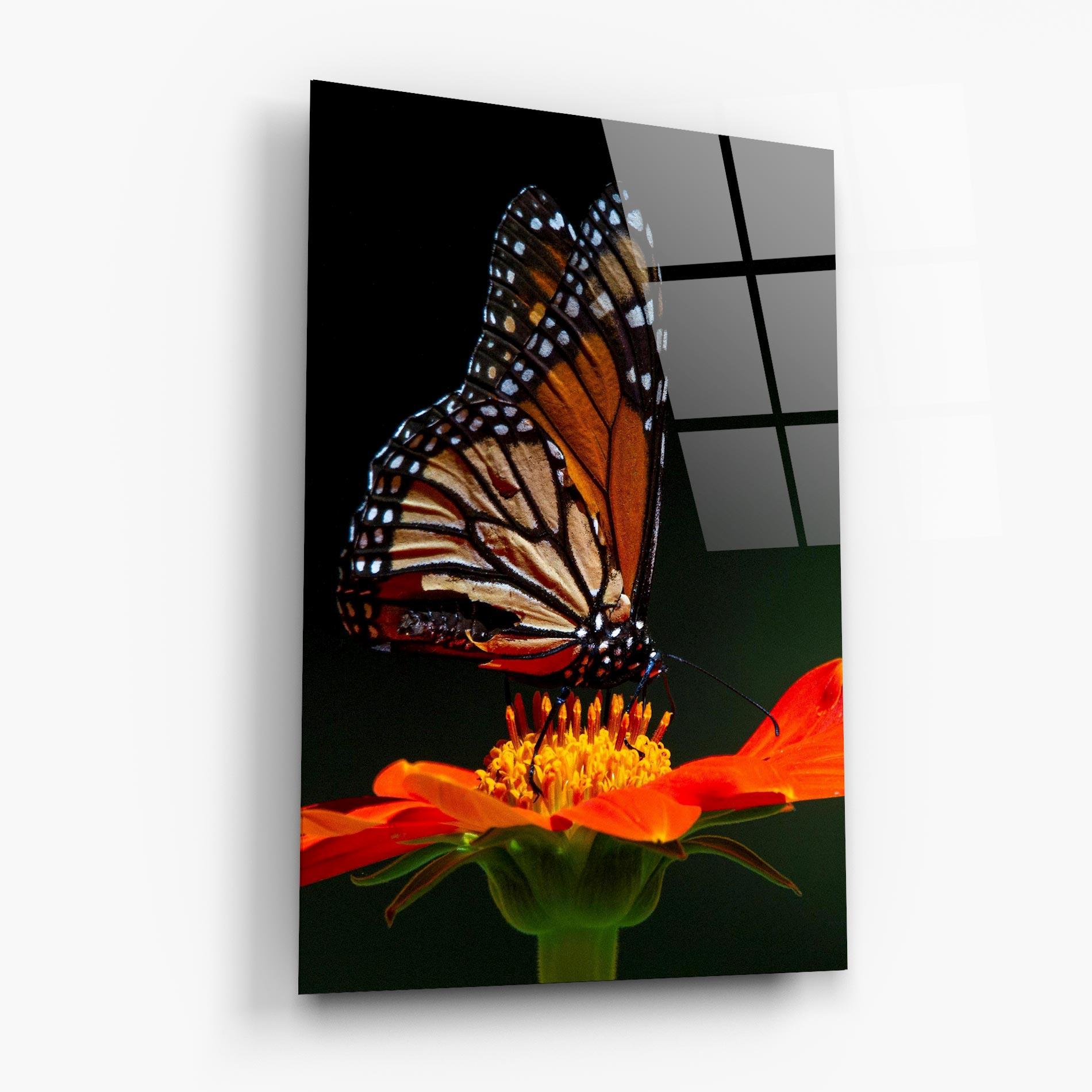 Glasbild Dark Orange Butterfy mockup 6