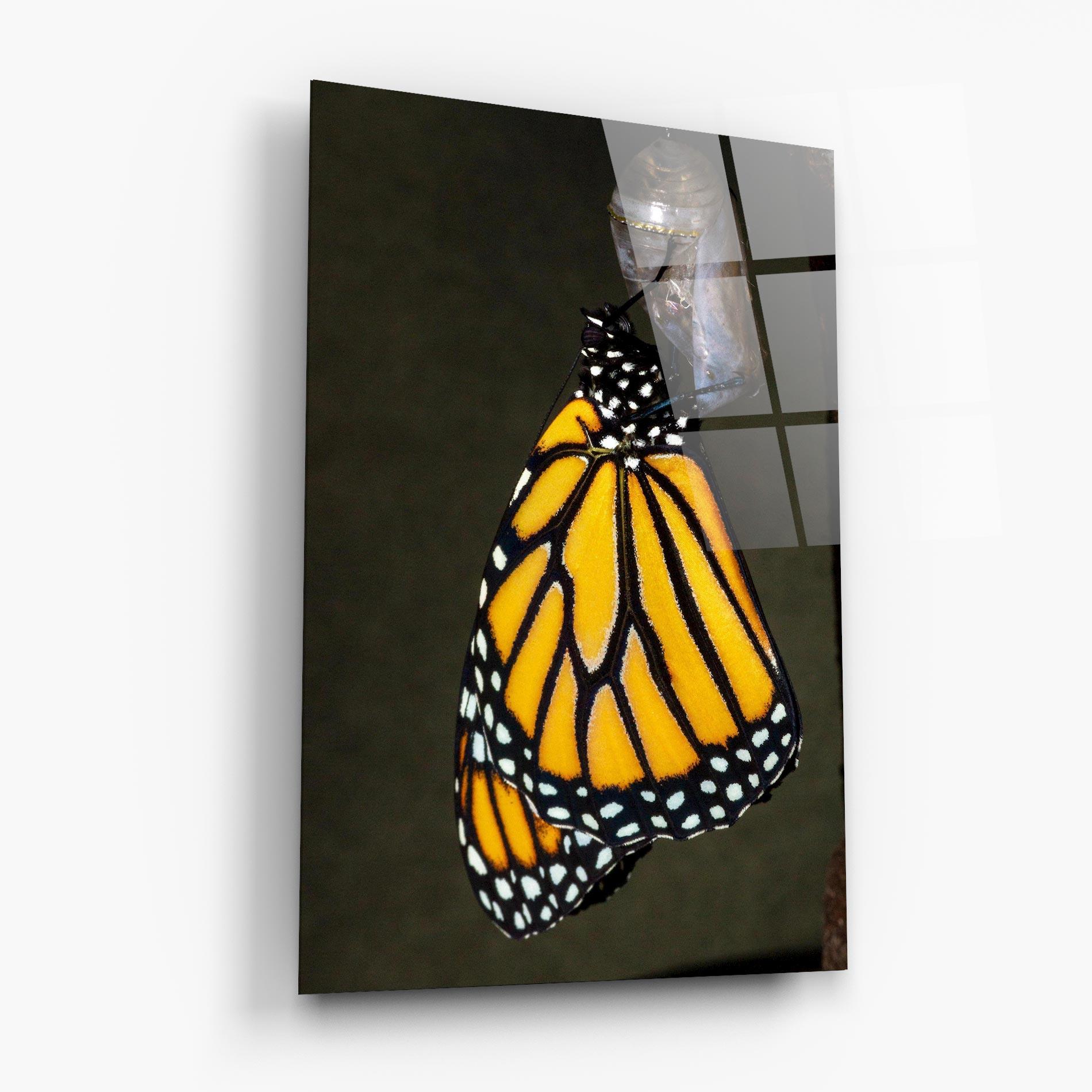 Glasbild Dark Yellow Butterfly mockup 6