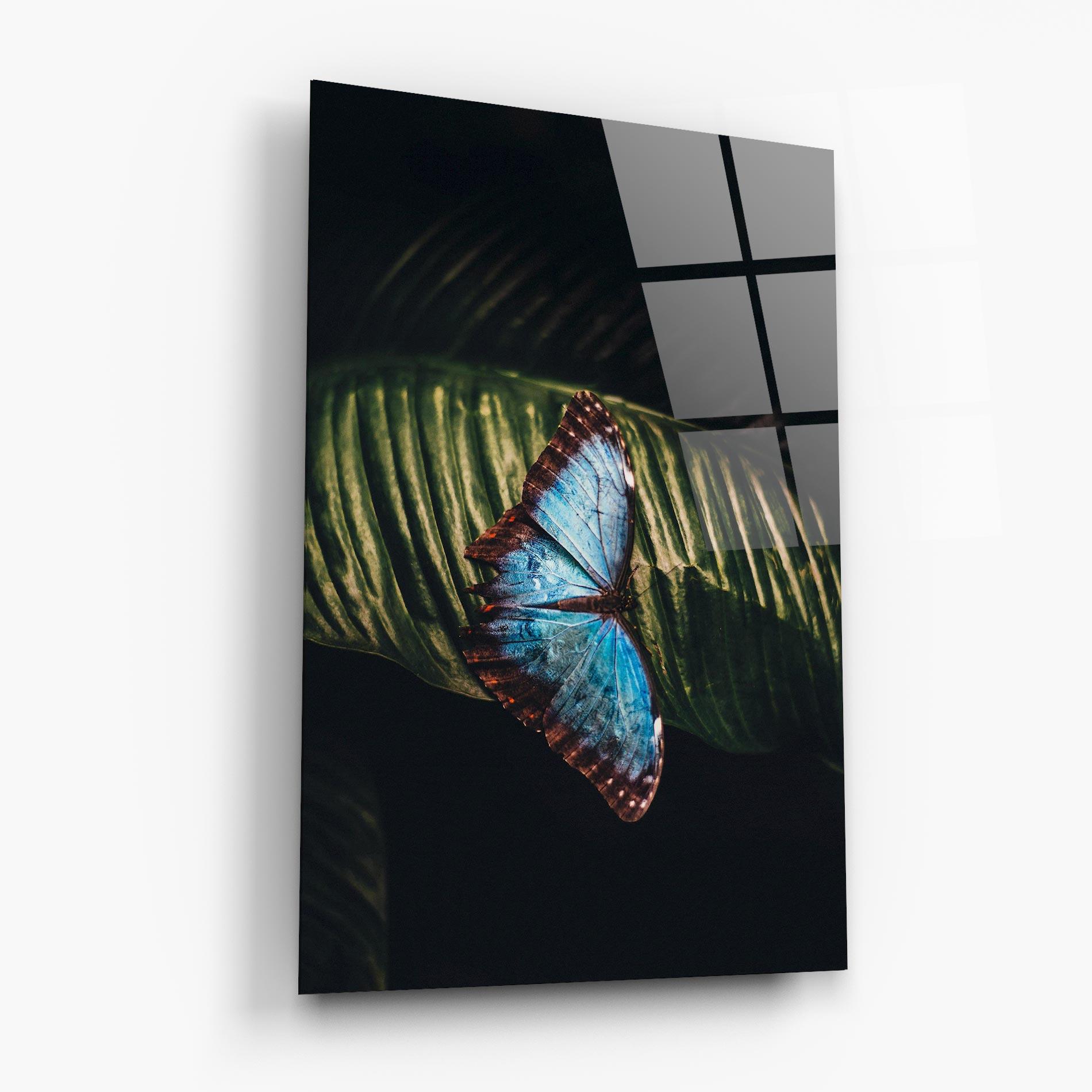 Glasbild Light Blue Butterfly mockup 6