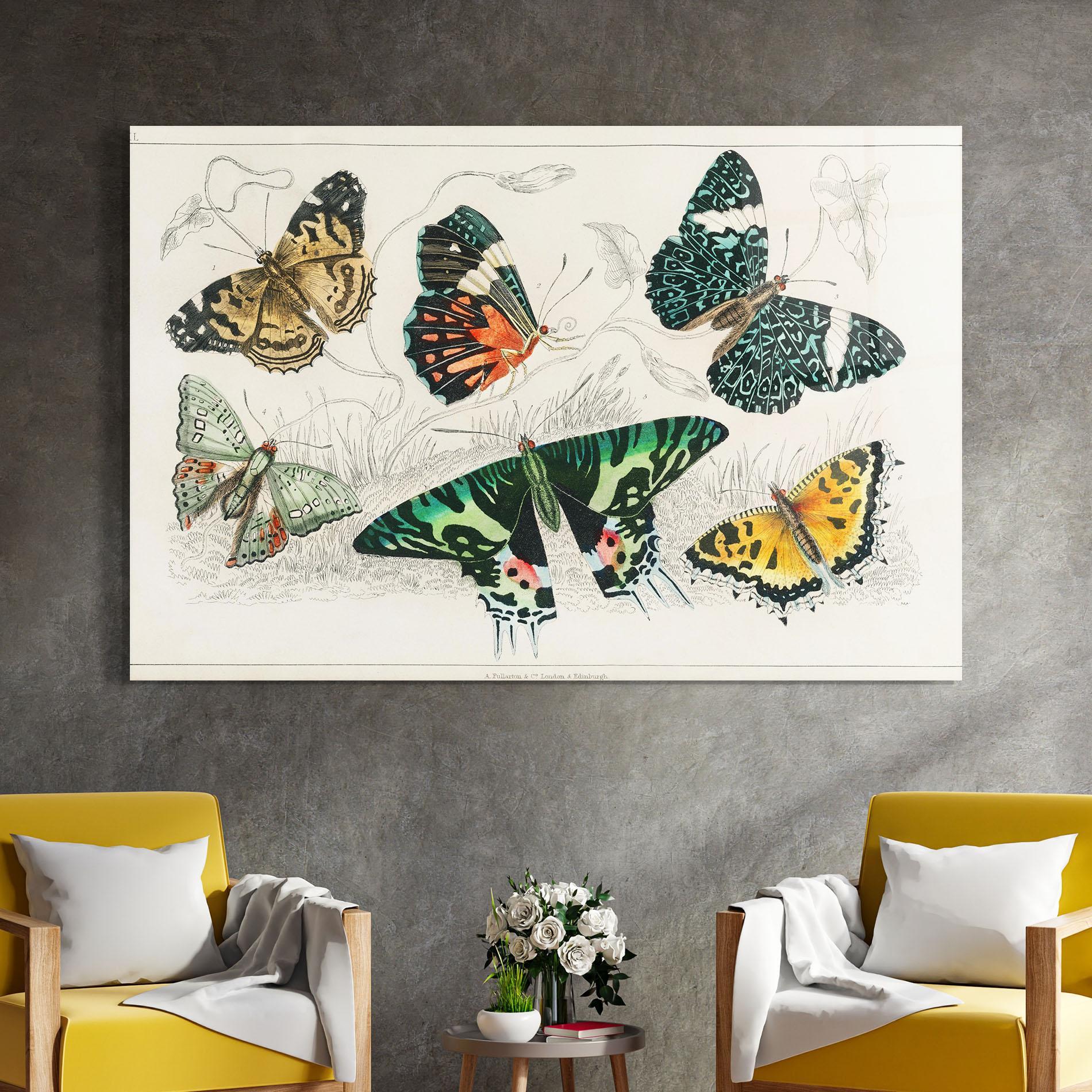 Glasbild Butterfly Art mockup 4