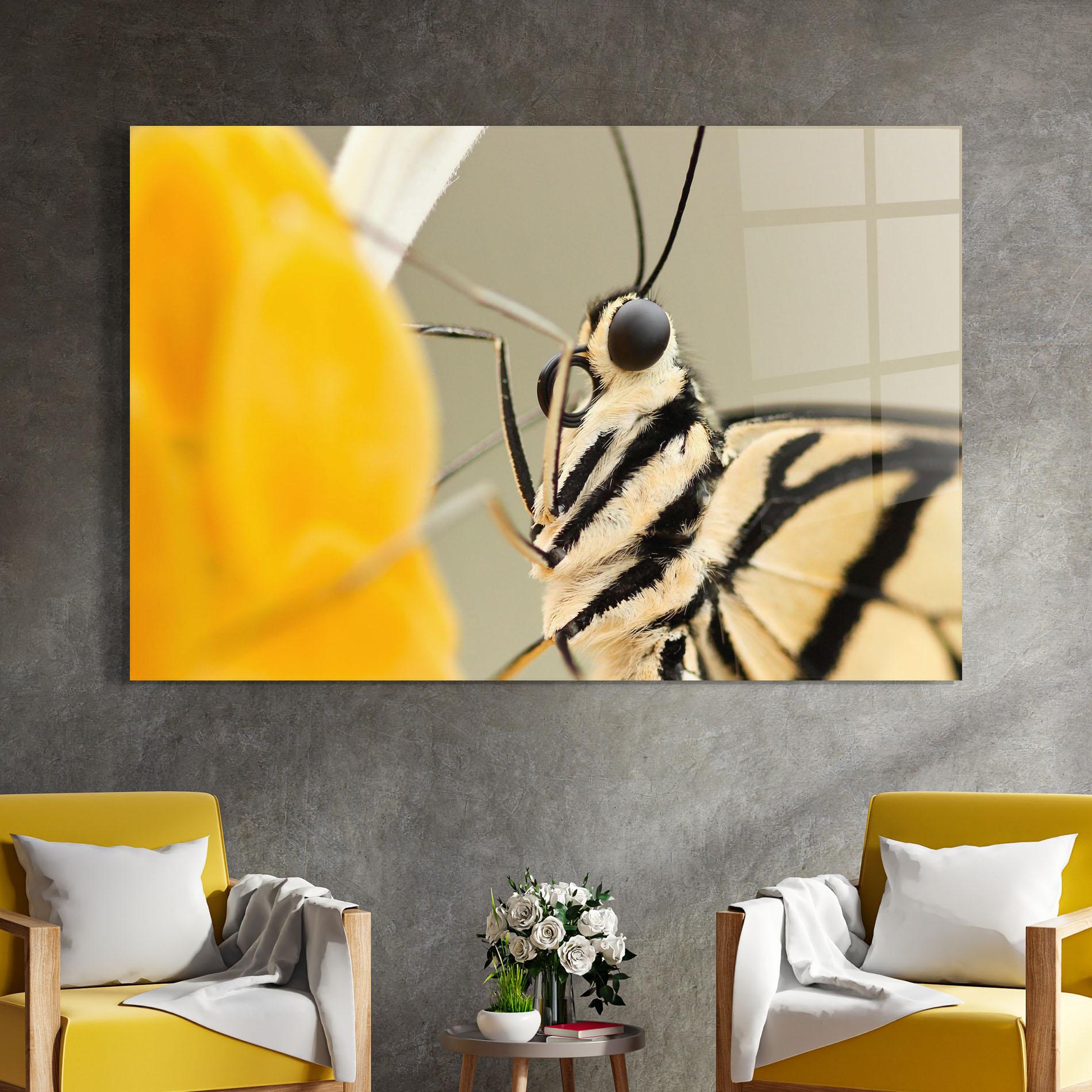 Glasbild Close Up Cream Butterfly mockup 4