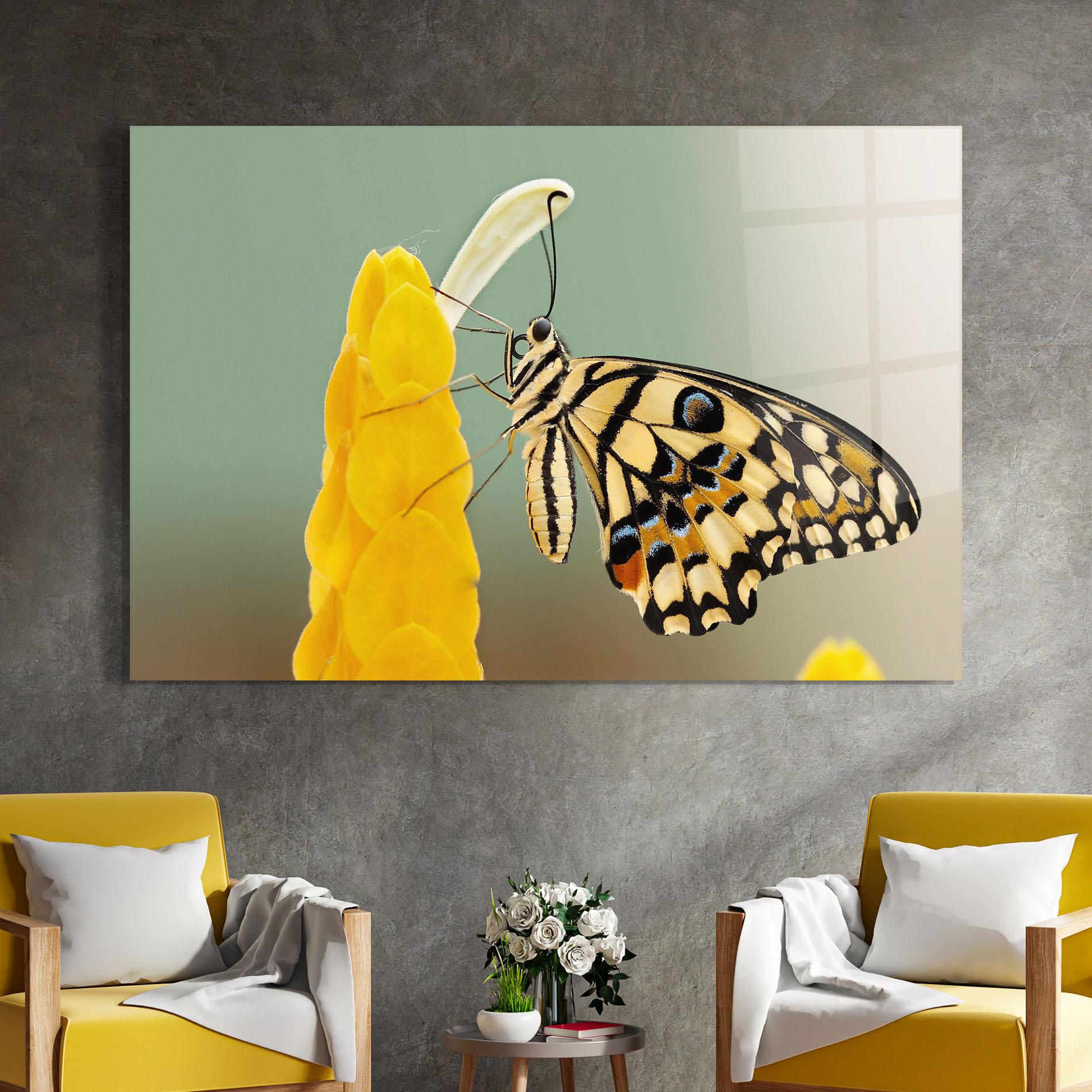 Glasbild Cream Yellow Butterfly mockup 4