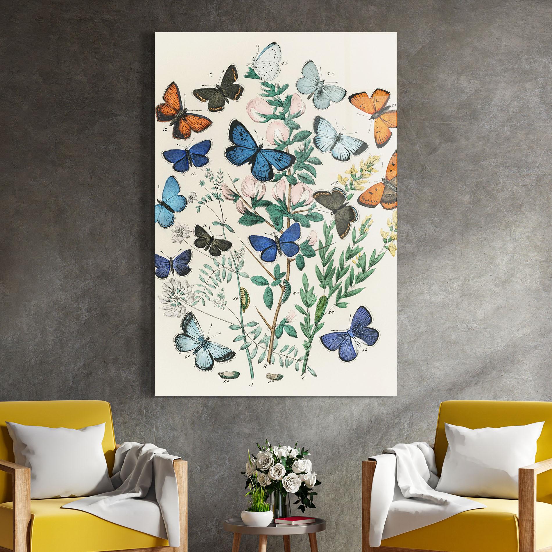 Glasbild Blue Orange Butterflies mockup 4