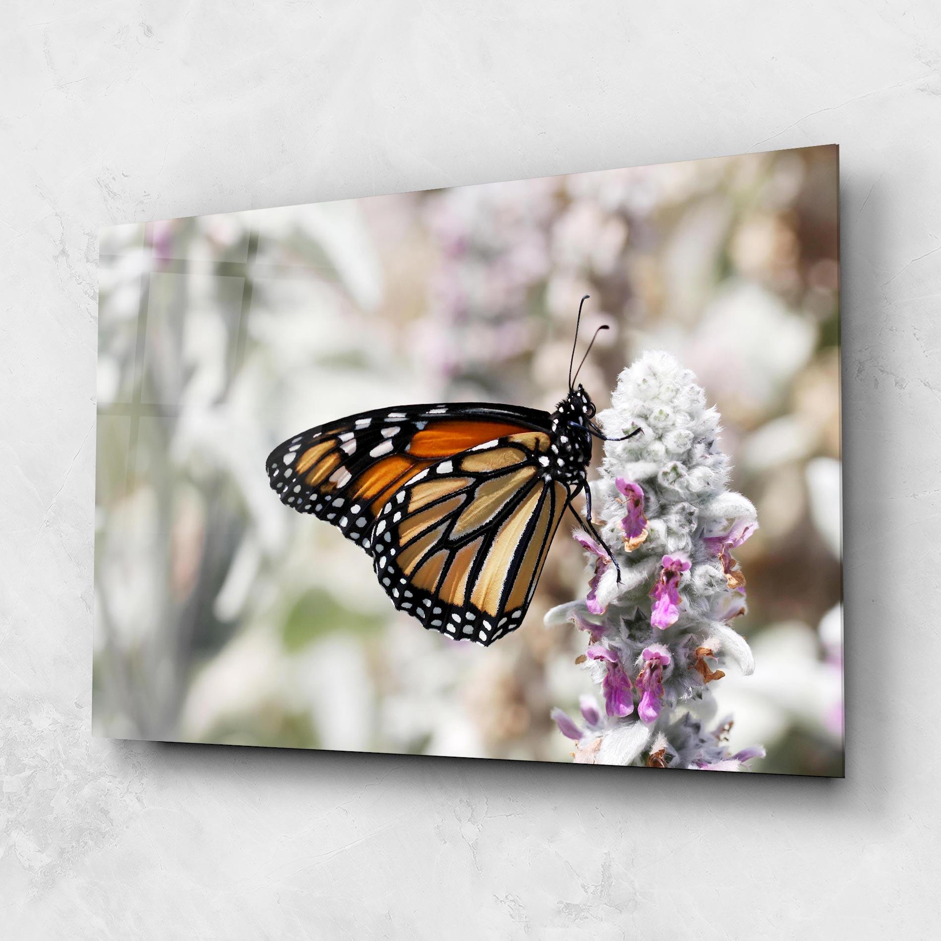 Glasbild Beauty Butterfly mockup 1