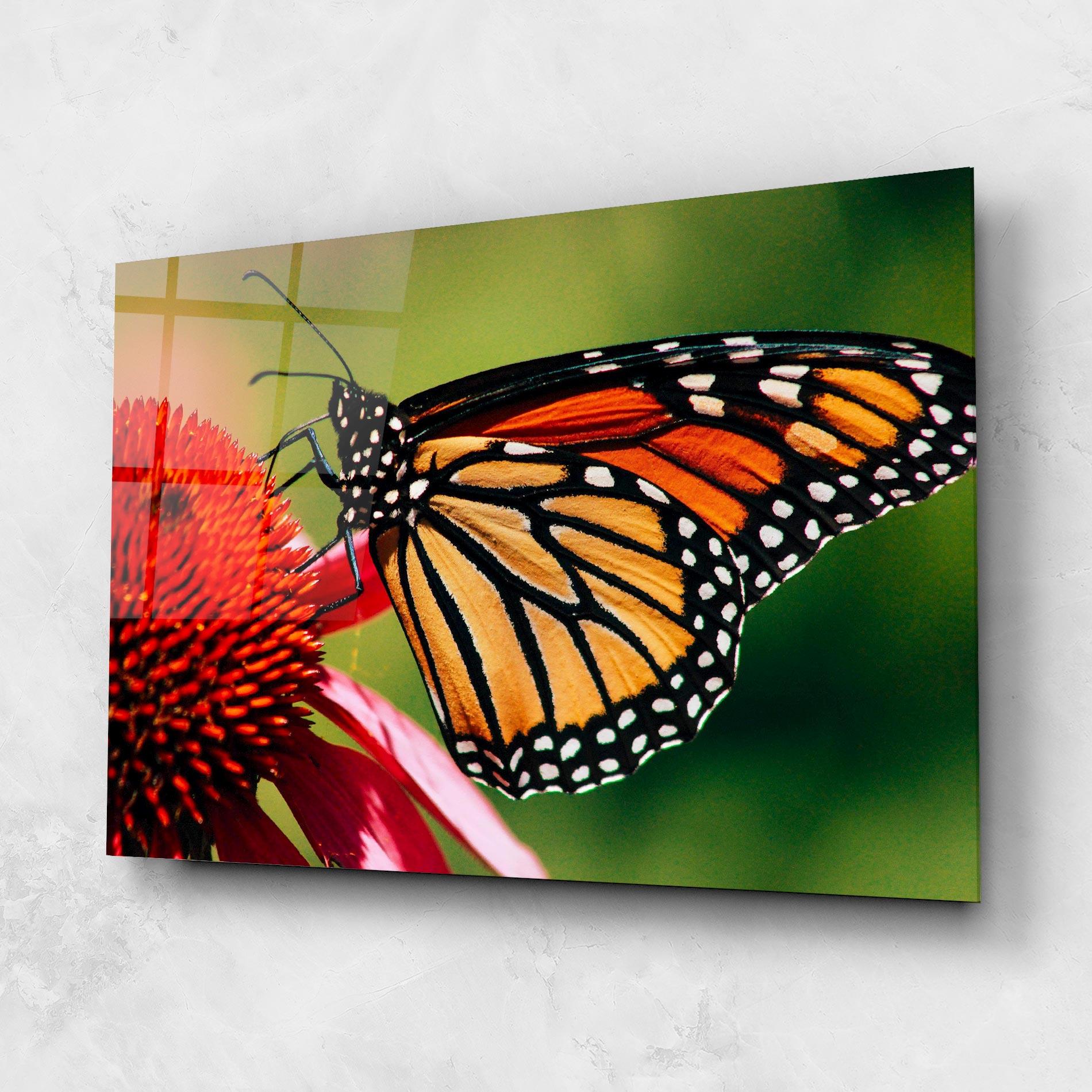 Glasbild Big Orange Butterfly mockup 1