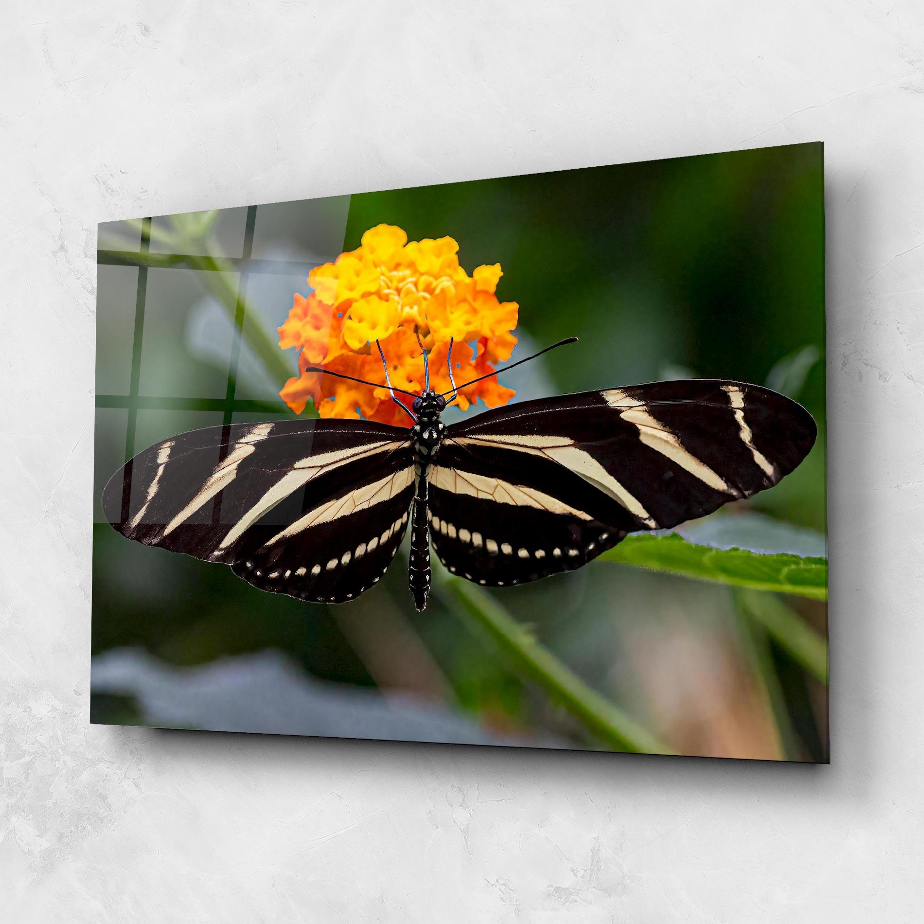 Glasbild Big Wings Butterfly mockup 1