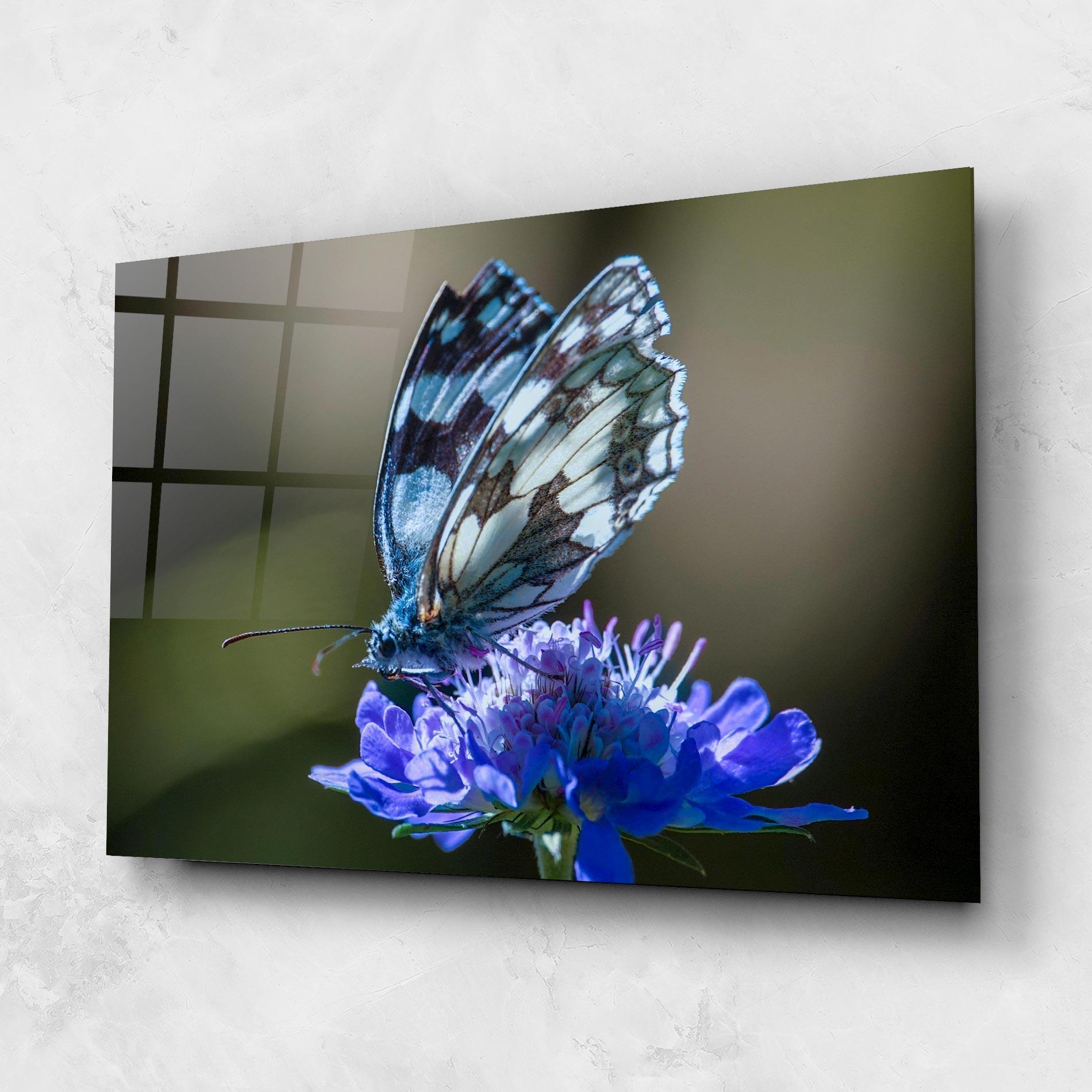 Glasbild Blue Butterfly In Nature mockup 1