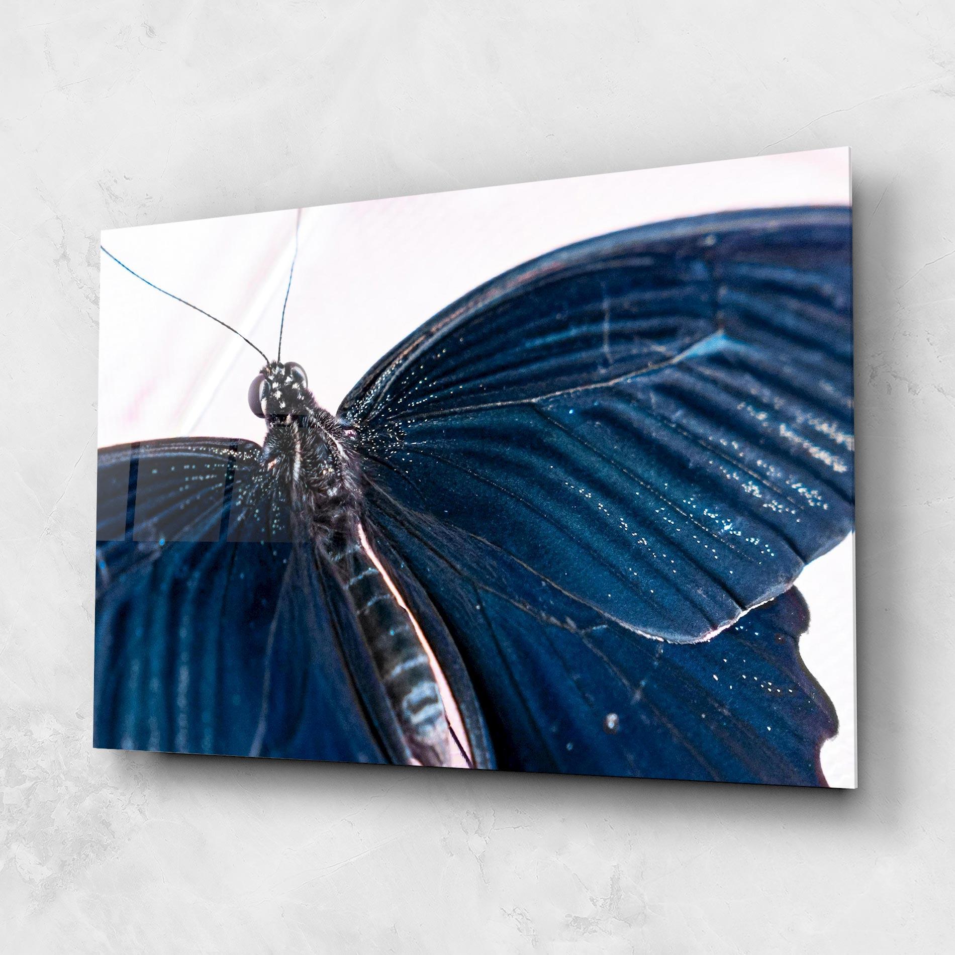 Glasbild Blue Butterfly mockup 1